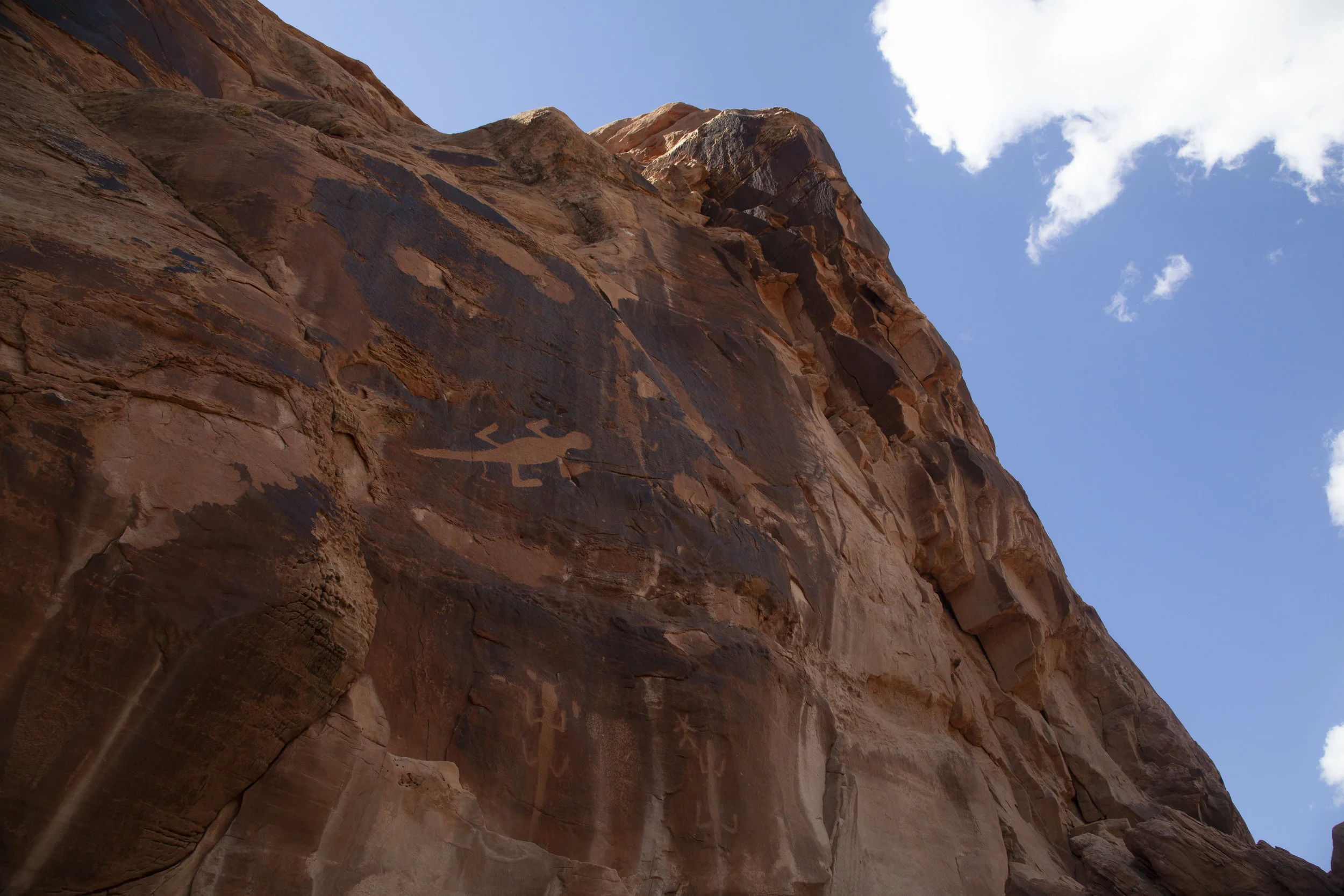  Dinosaur I.  Utah. 2016. 