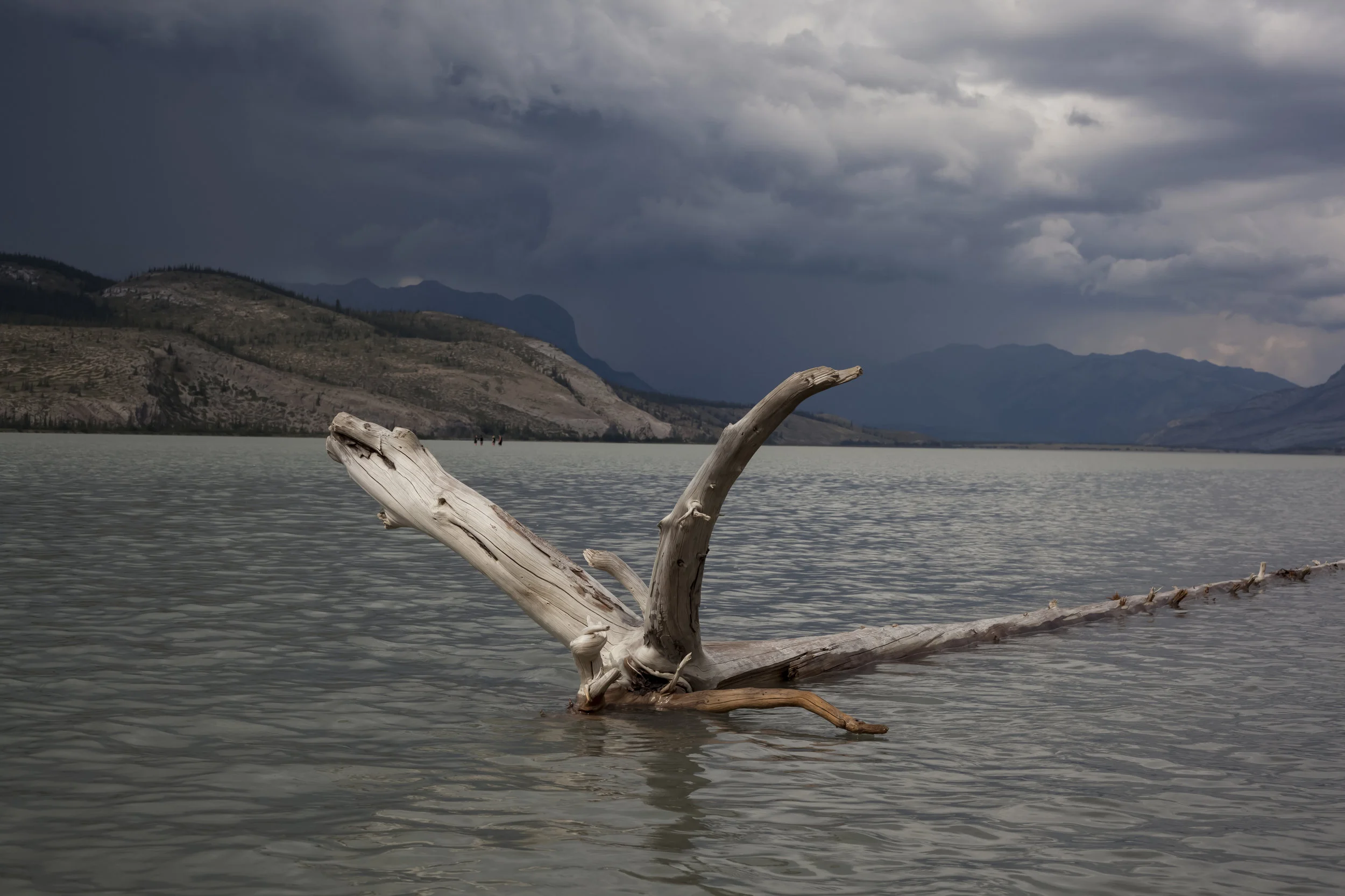  Jasper VIII. Jasper, Canada.  2016.  