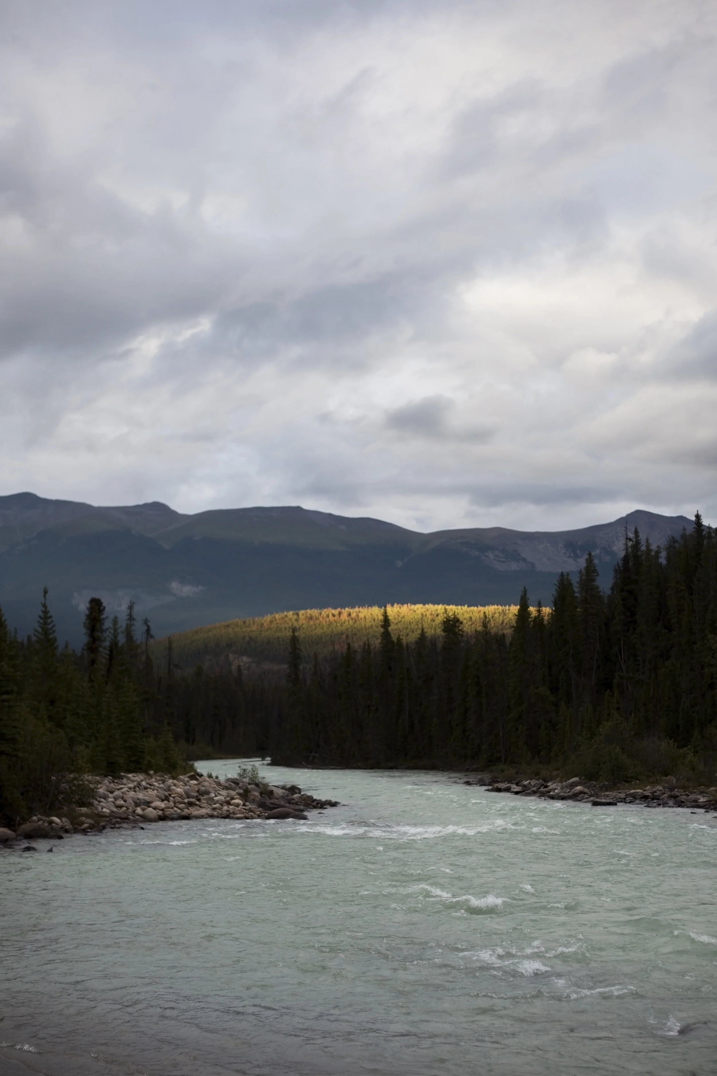  Jasper IV. Jasper, Canada. 2016. 