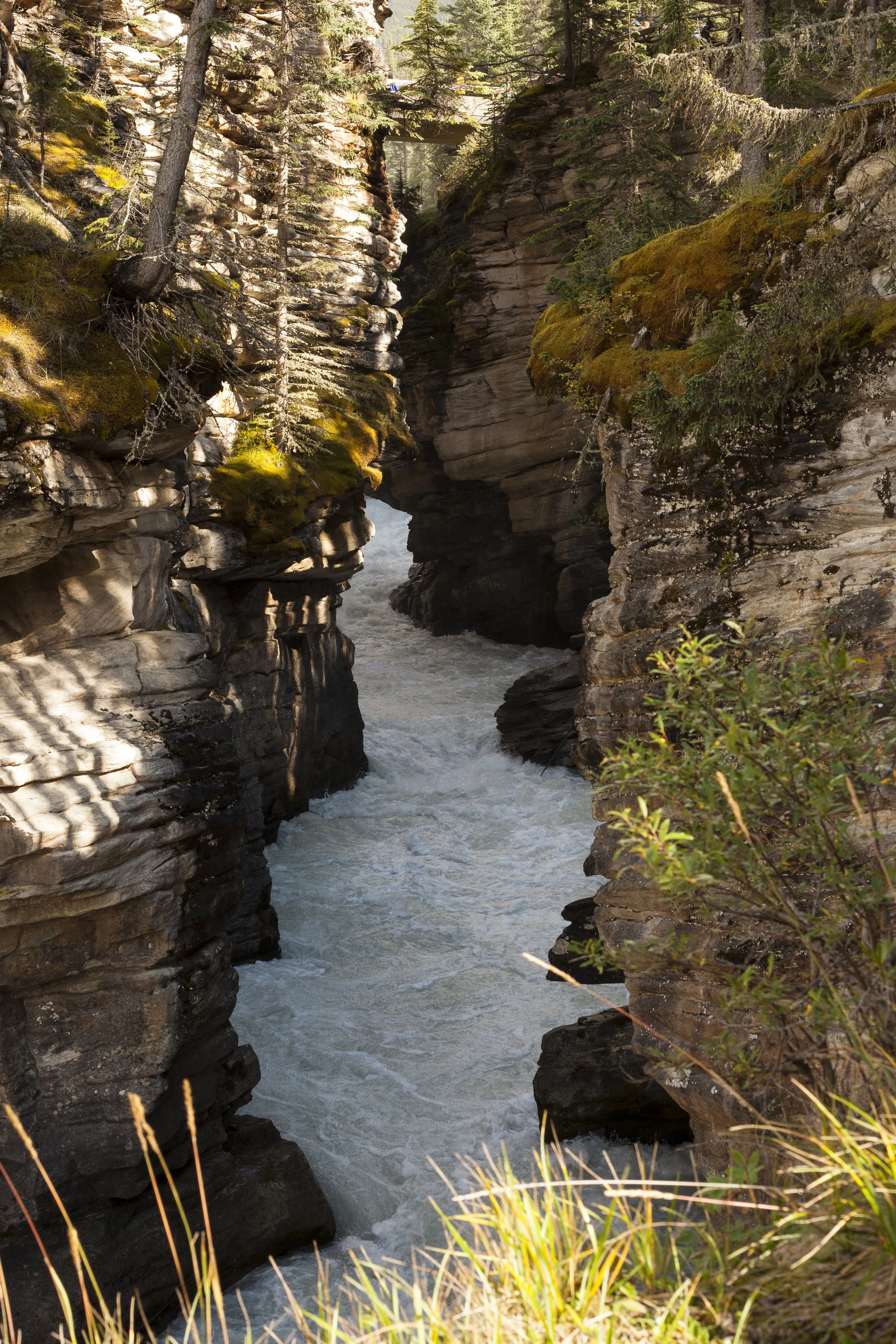  Jasper V.  Jasper, Canada. 2016.  