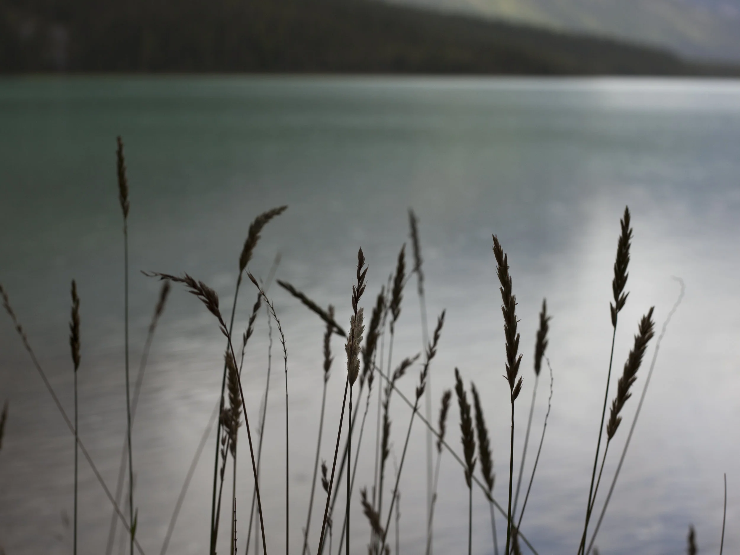  Jasper II. Jasper, Canada. 2016. 
