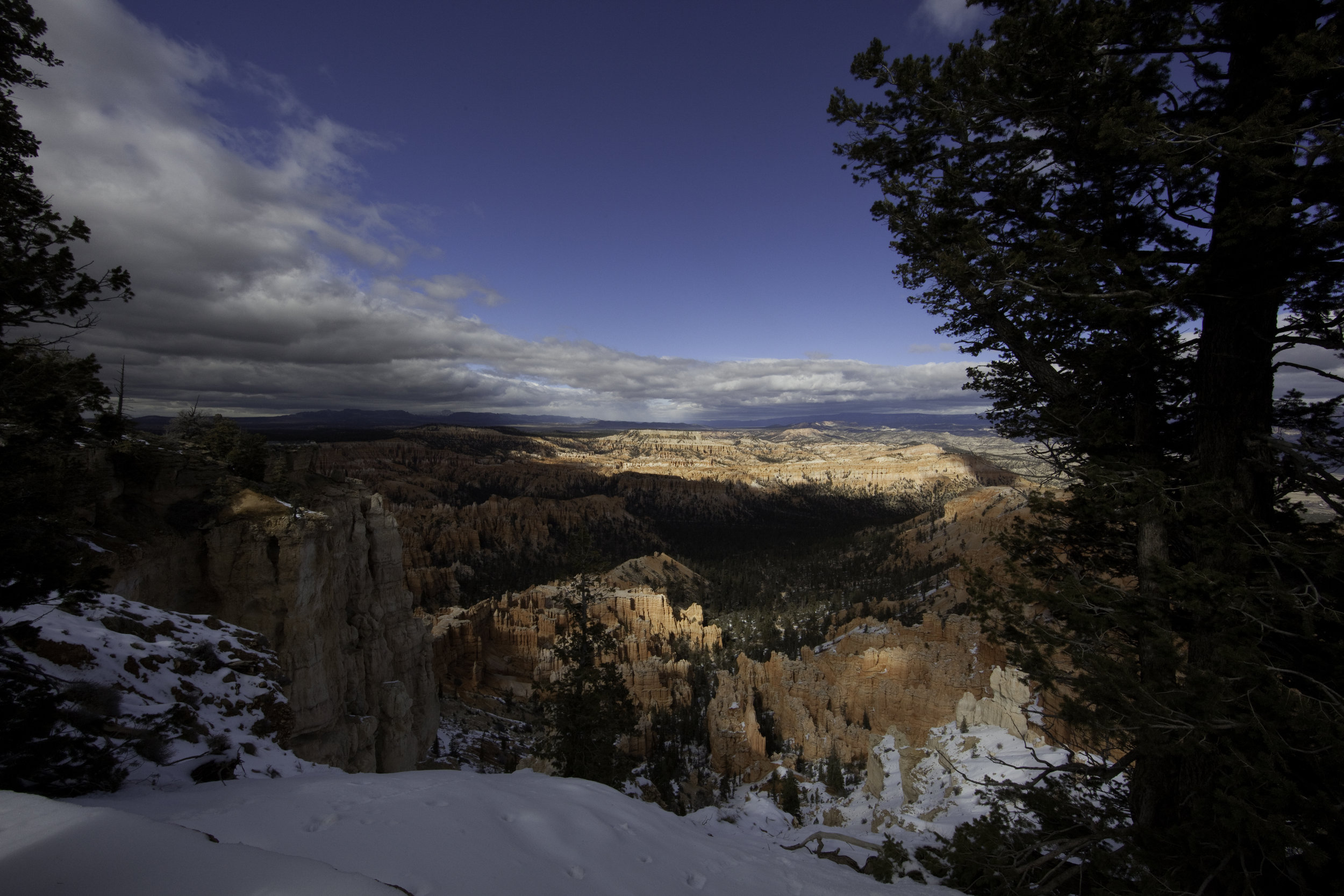  Bryce Canyon, Utah. 2014.  
