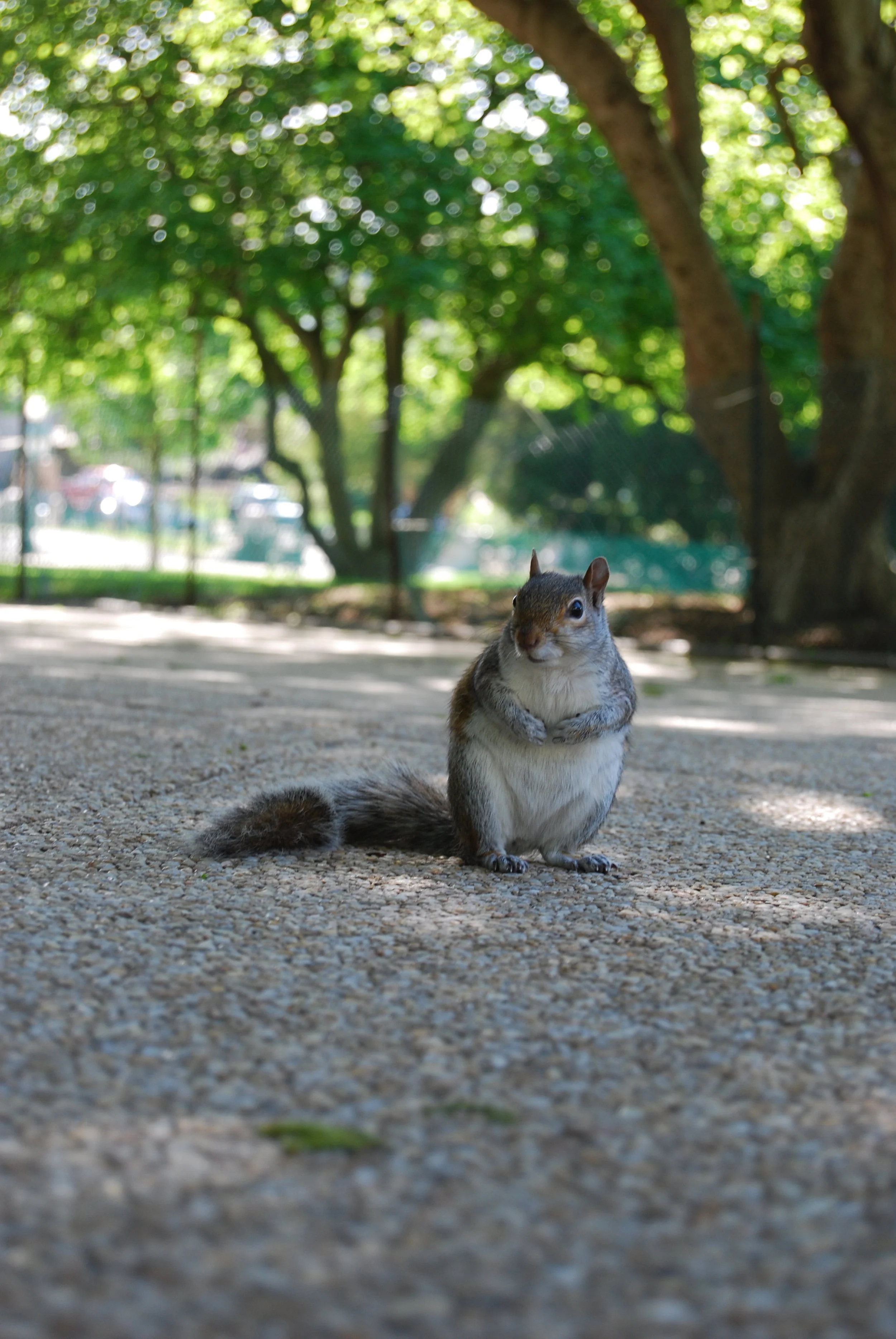  Washington, D.C.. 2009.  