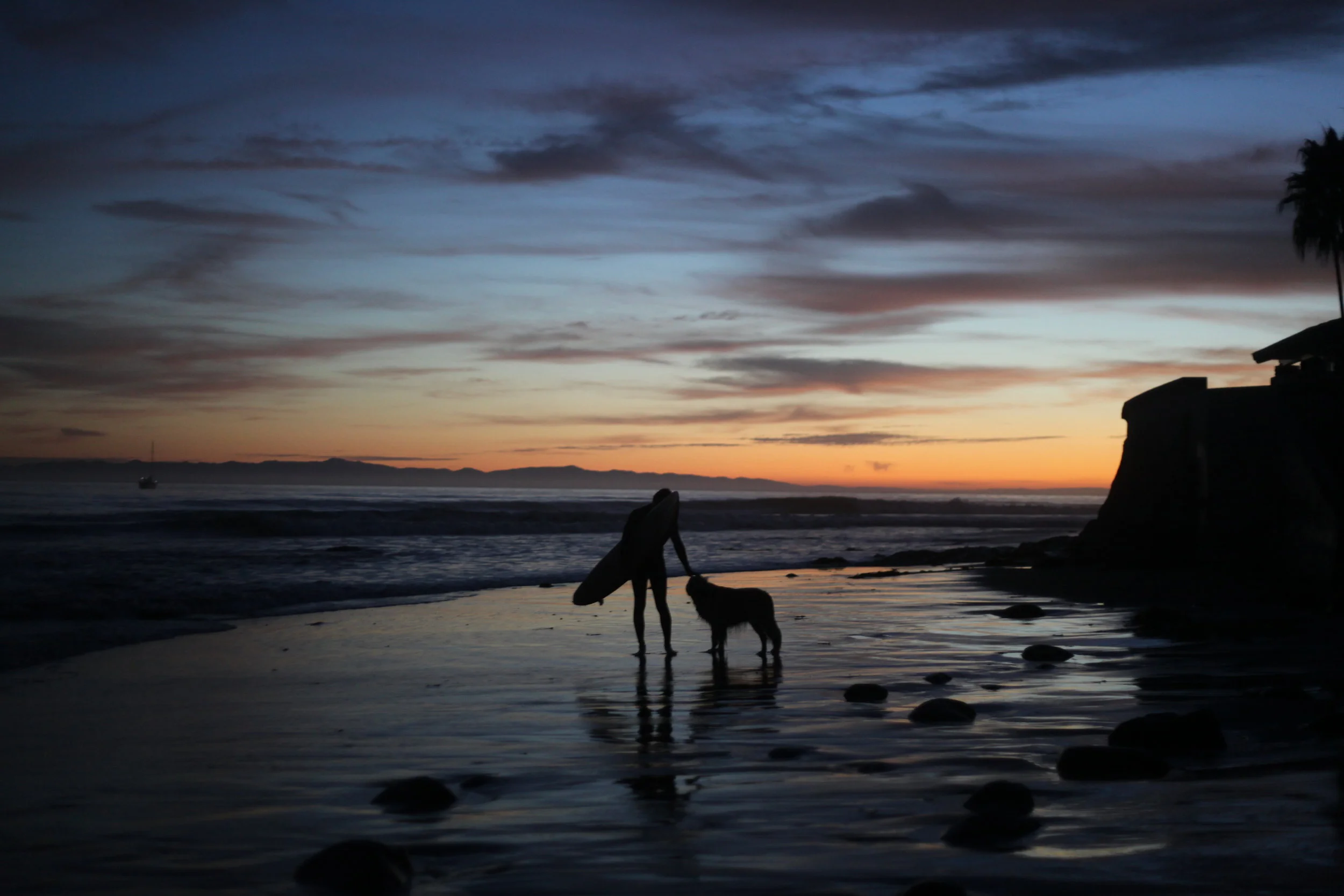  Leo and Surfer. Miramar, Montecito, California. 2010. 