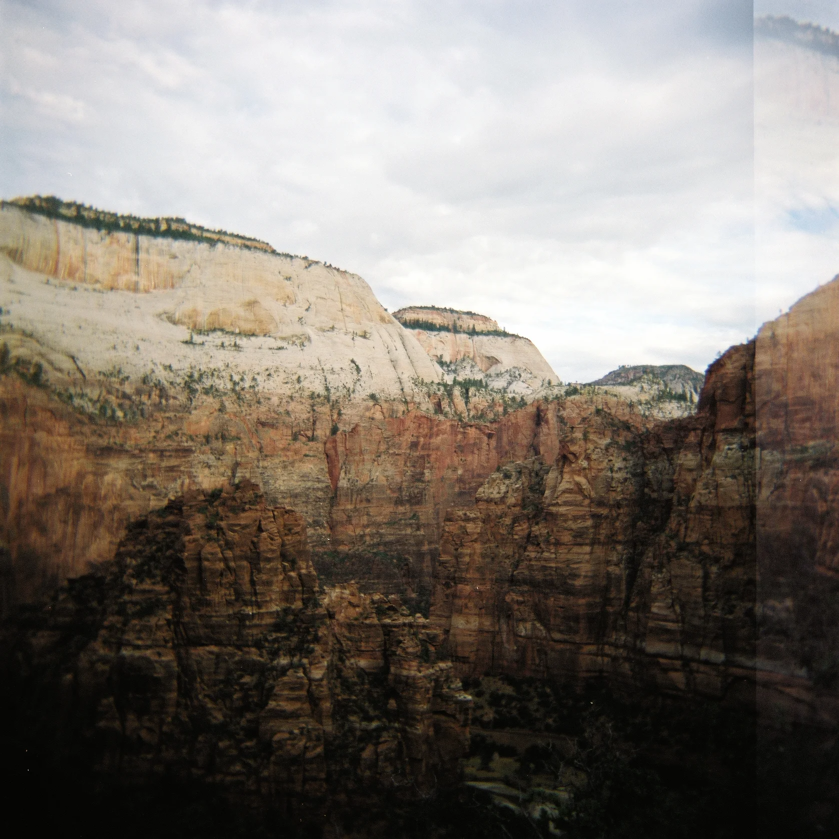  Holga 120N.   Kodak 120mm color film.   Zion, Utah. 2011.   II. 