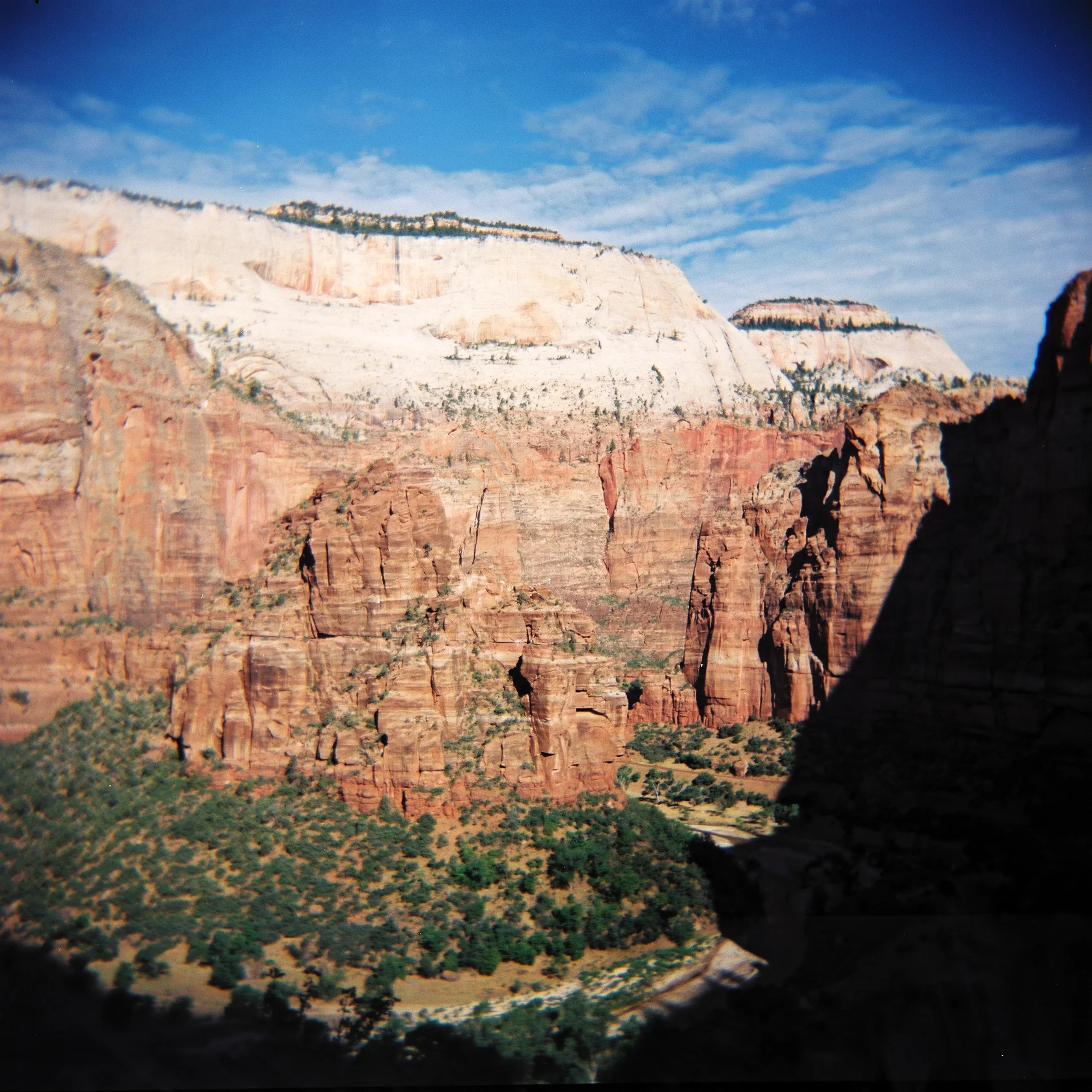  Holga 120N.  Kodak 120mm color film.   Zion, Utah. 2011.   I. 