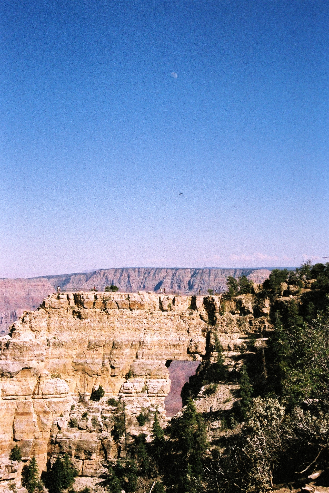  Pentax K1000.  Kodak 35mm color film,   North Rim Grand Canyon, Arizona. 2011.   I. 