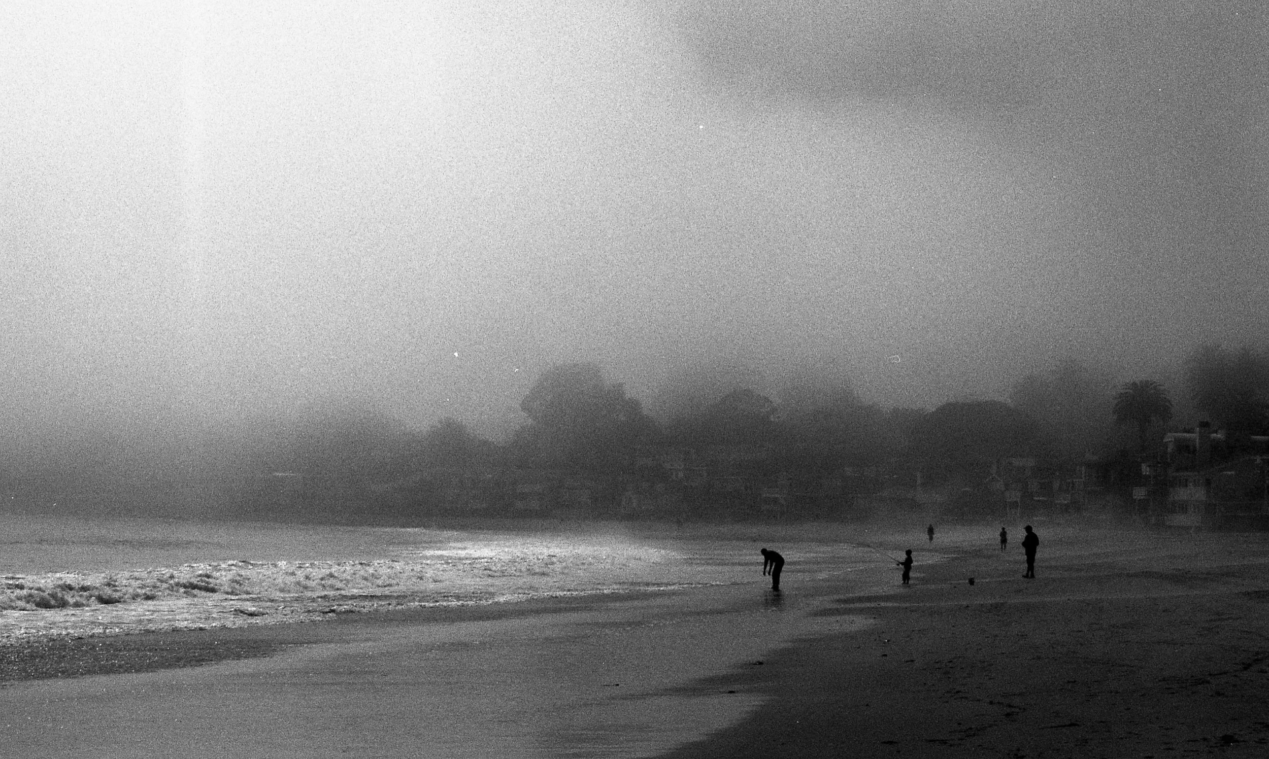  Pentax K1000.  Kodak 35mm Tri-X 400 BW film.  Miramar, Montecito, California. 2011. 