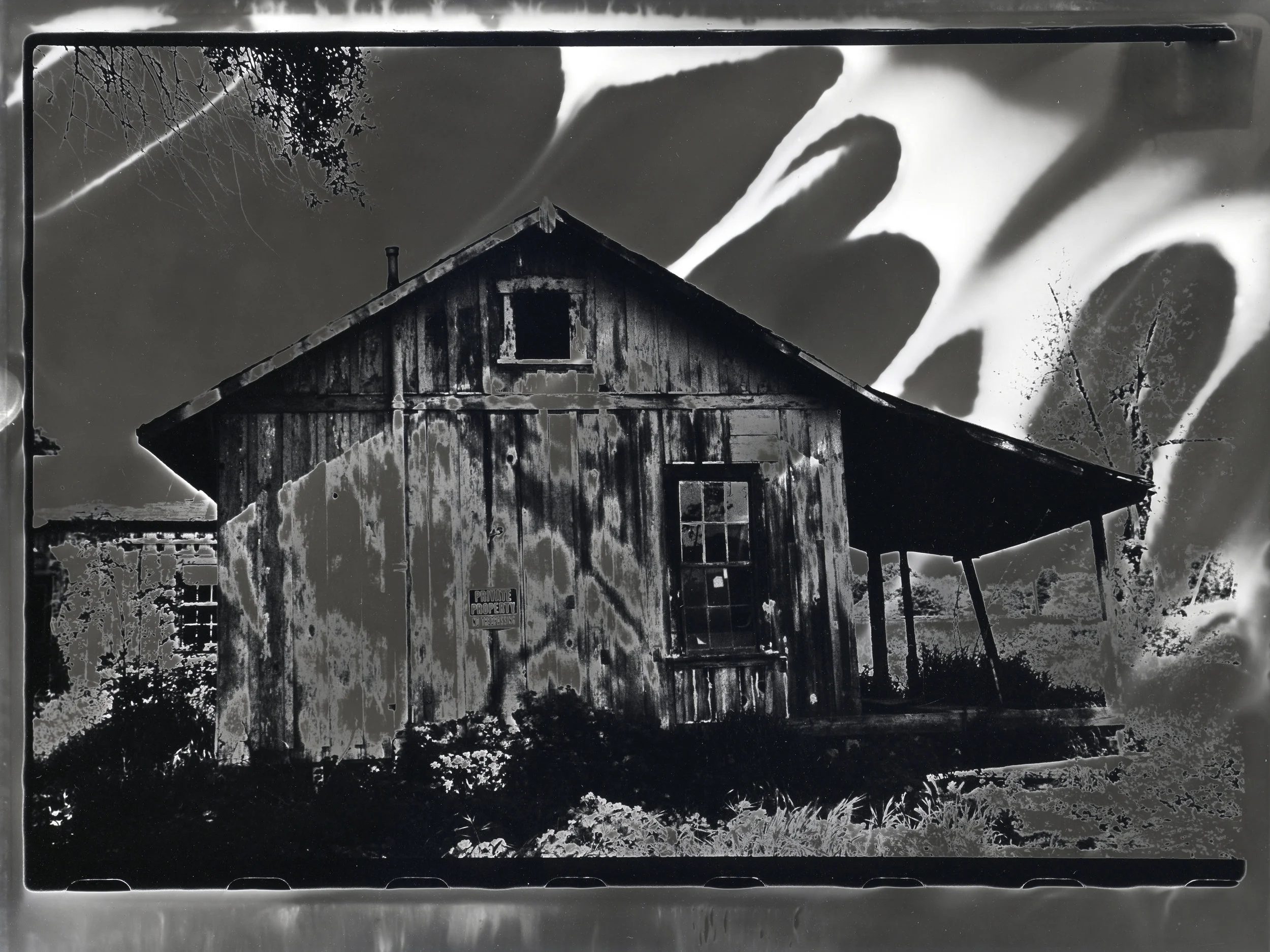  Pentax K1000.  Kodak 35mm Tri-X BW film.   8x10 Sabattier print.   Santa Ynez, California. 2011.  