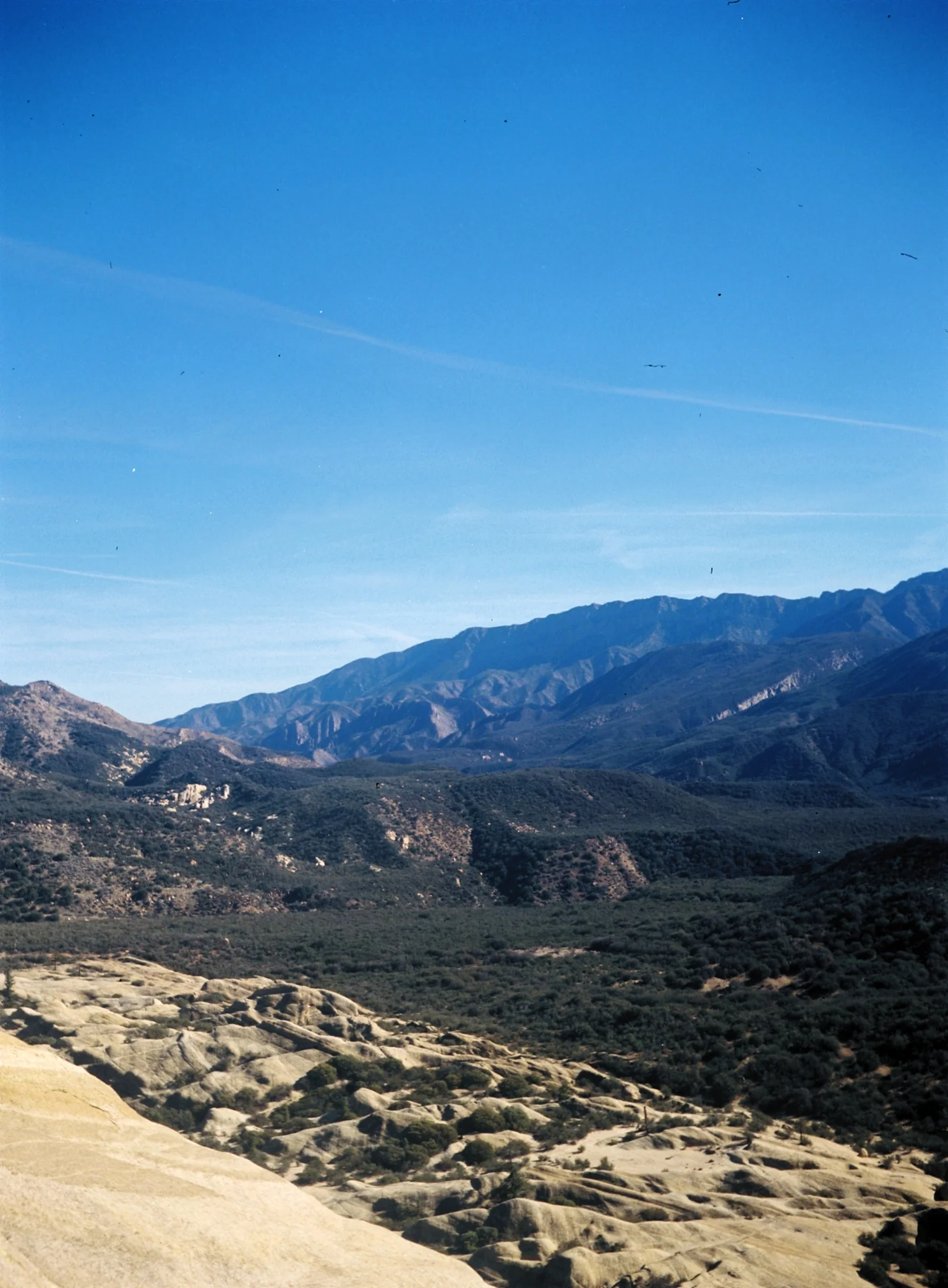 Ziess Ikon Ikonta 521 from 1938. 120mm Kodak color film. Ojai, California. 2015.