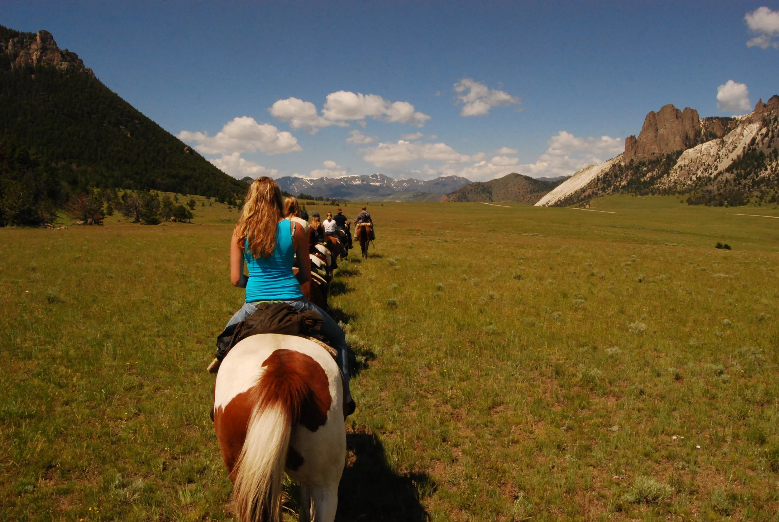 ECR. Sunlight Basin, Wyoming. 2009. 