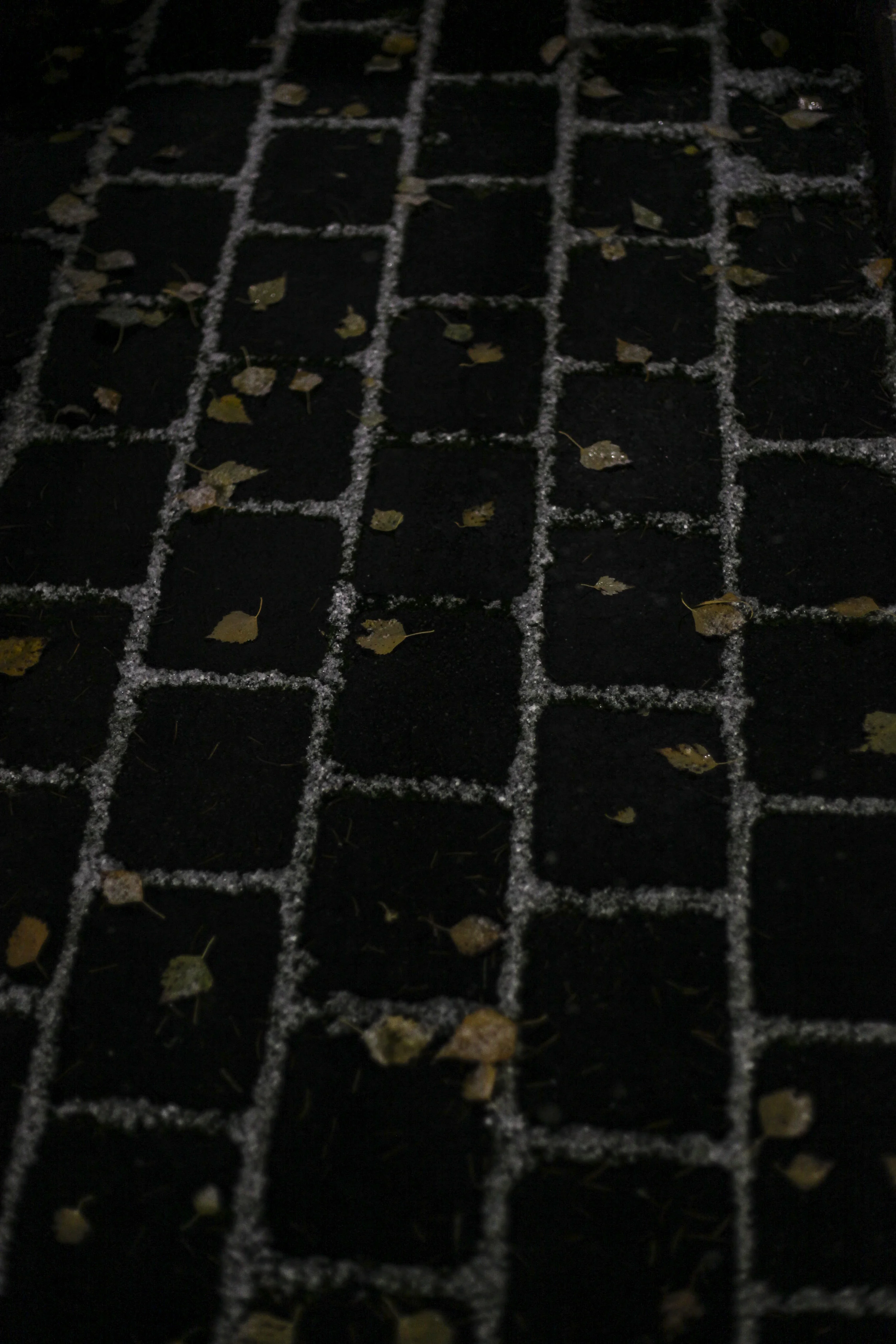  Late Night Light. Oregon, 2010. 