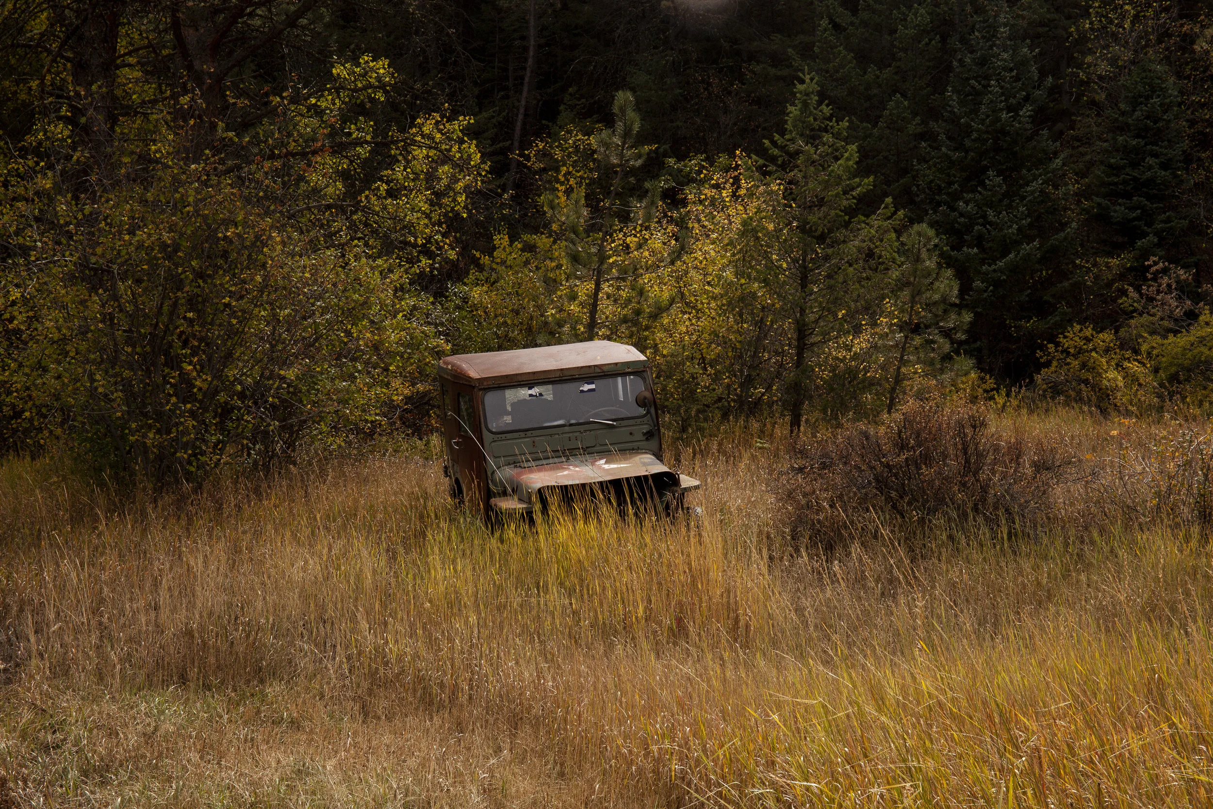  Four Mile Canyon, Colorado. 2018.  