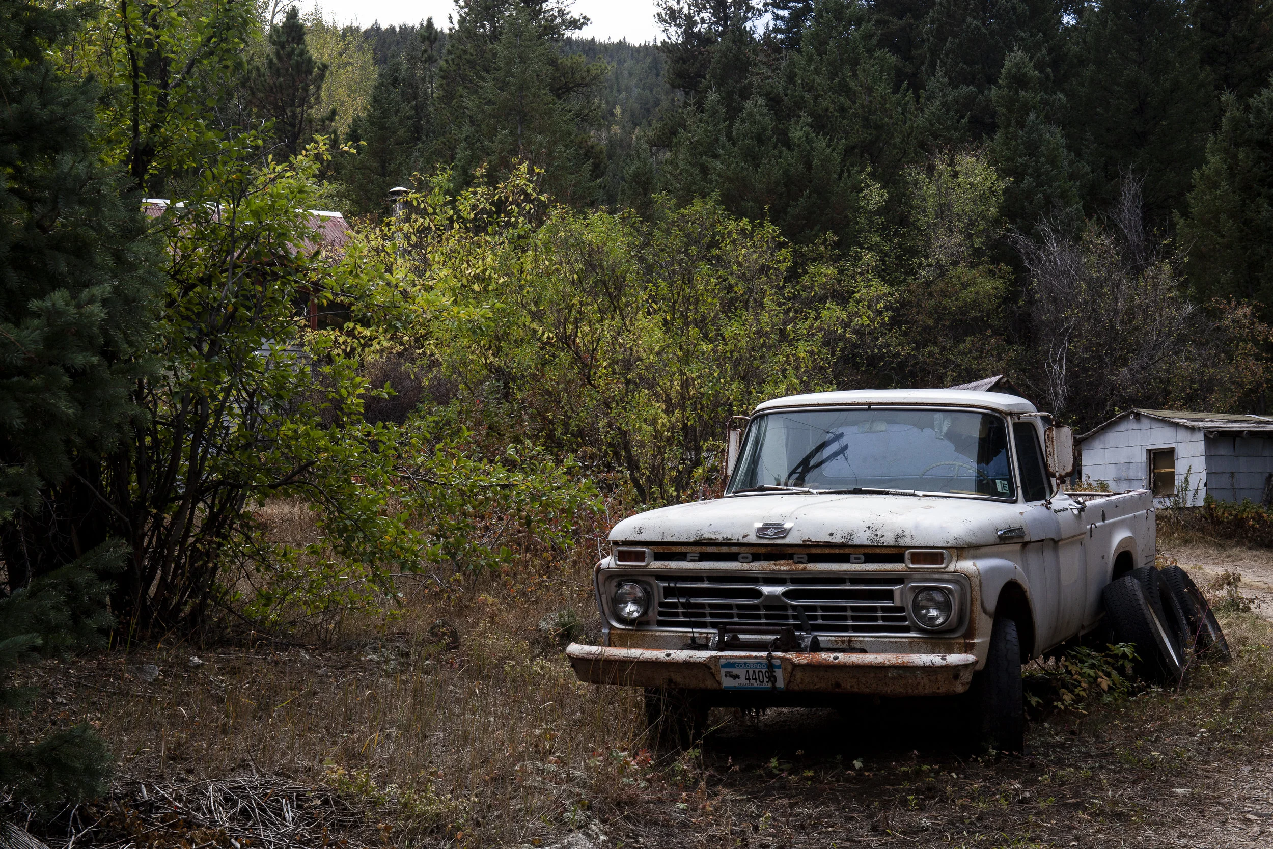  Four Mile Canyon, Colorado. 2018. 