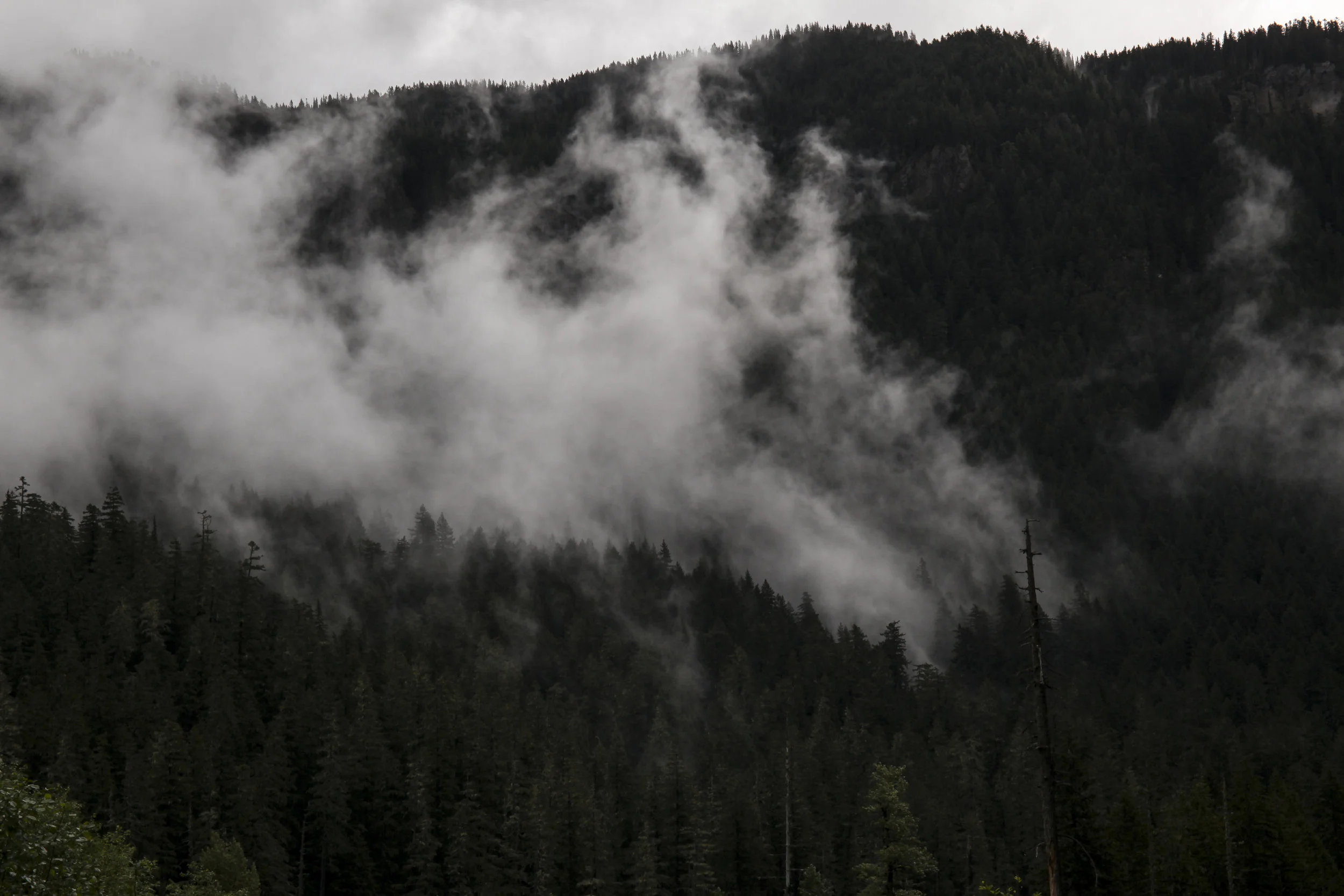  Mt. Rainier National Park, Washington. 2018. 