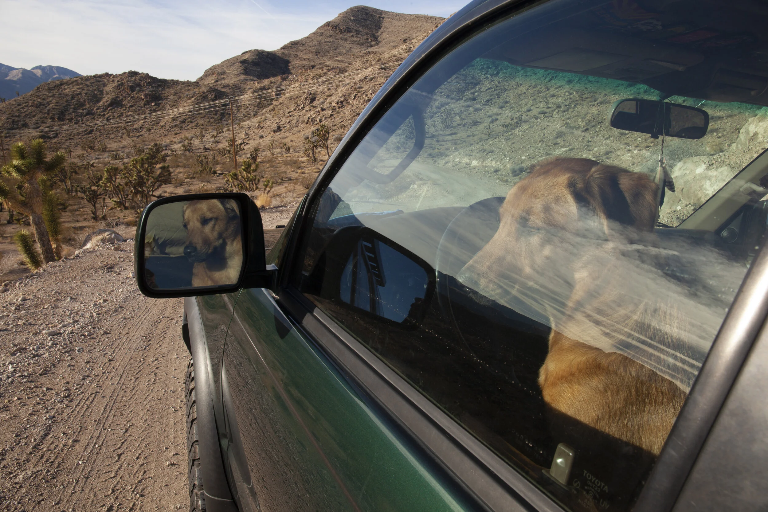  Bomba. Arizona. 2019. 