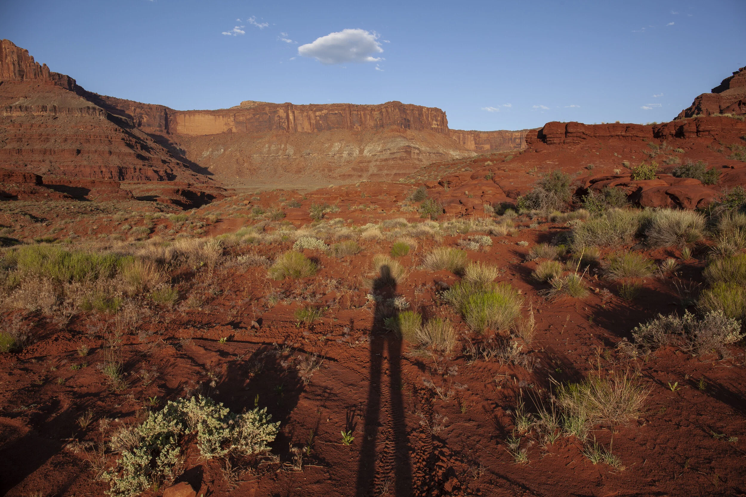  Feeling small. Moab, UT. 2019.  