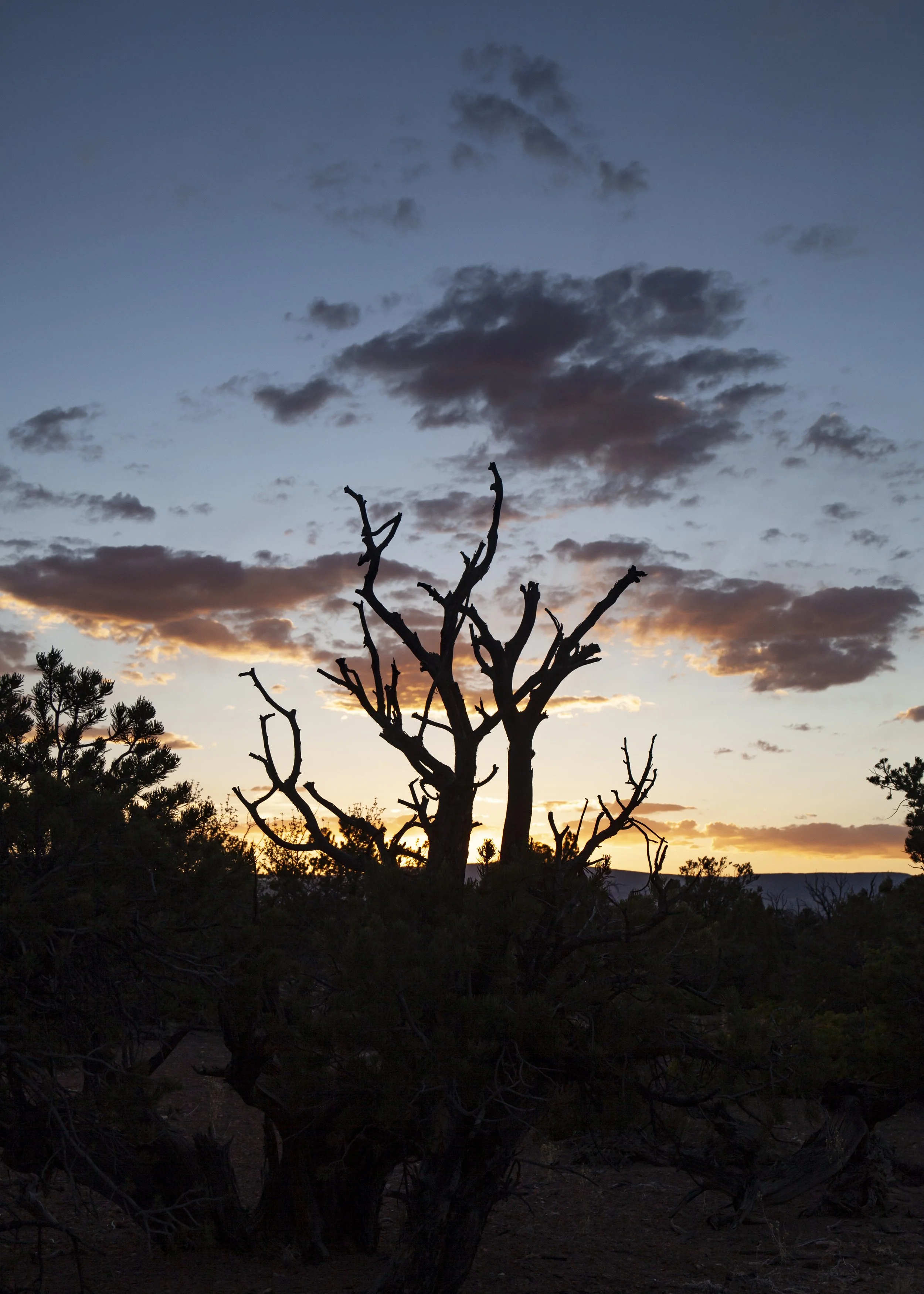 2021_Utah02_small.JPG