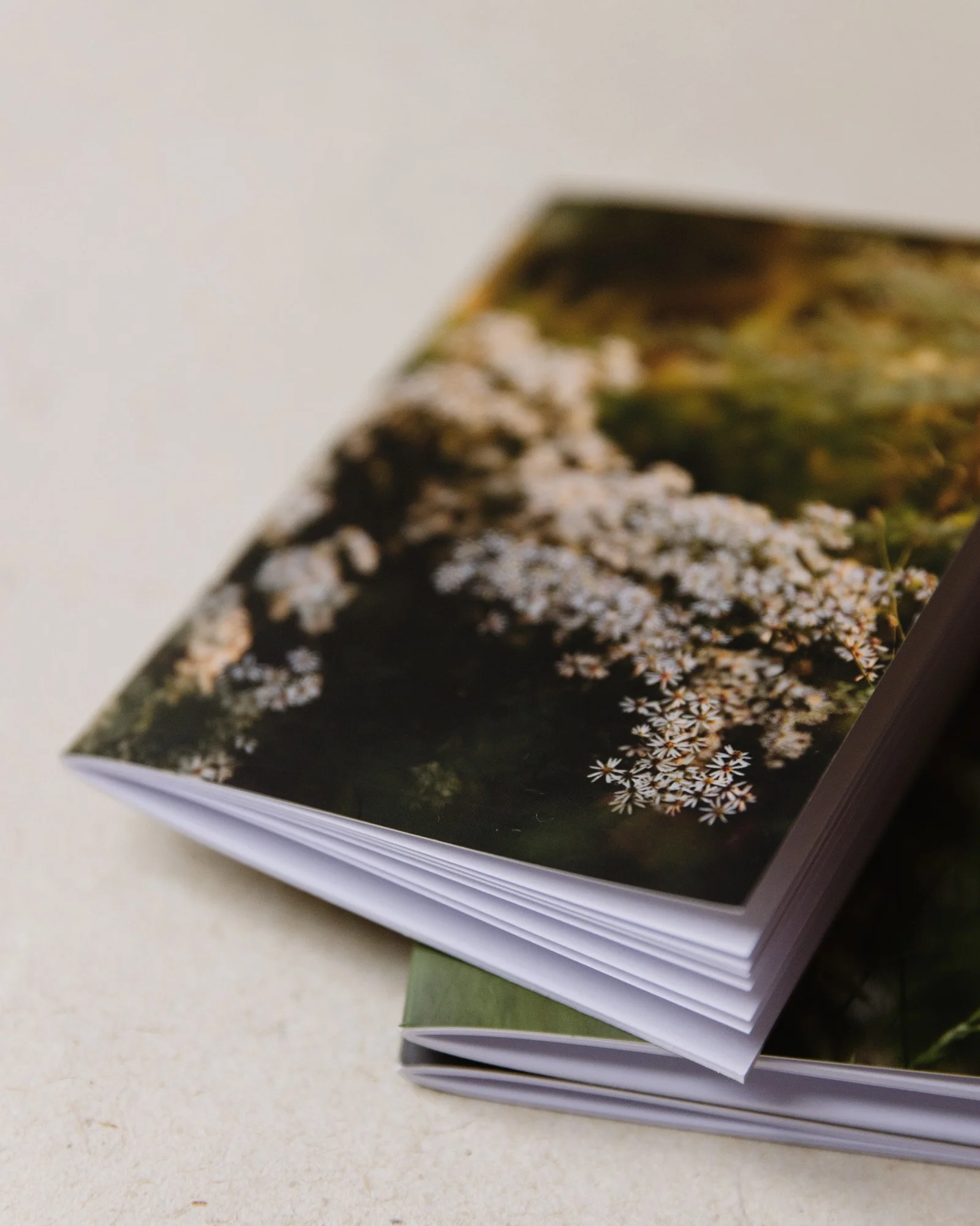 Set of Botanical notebooks