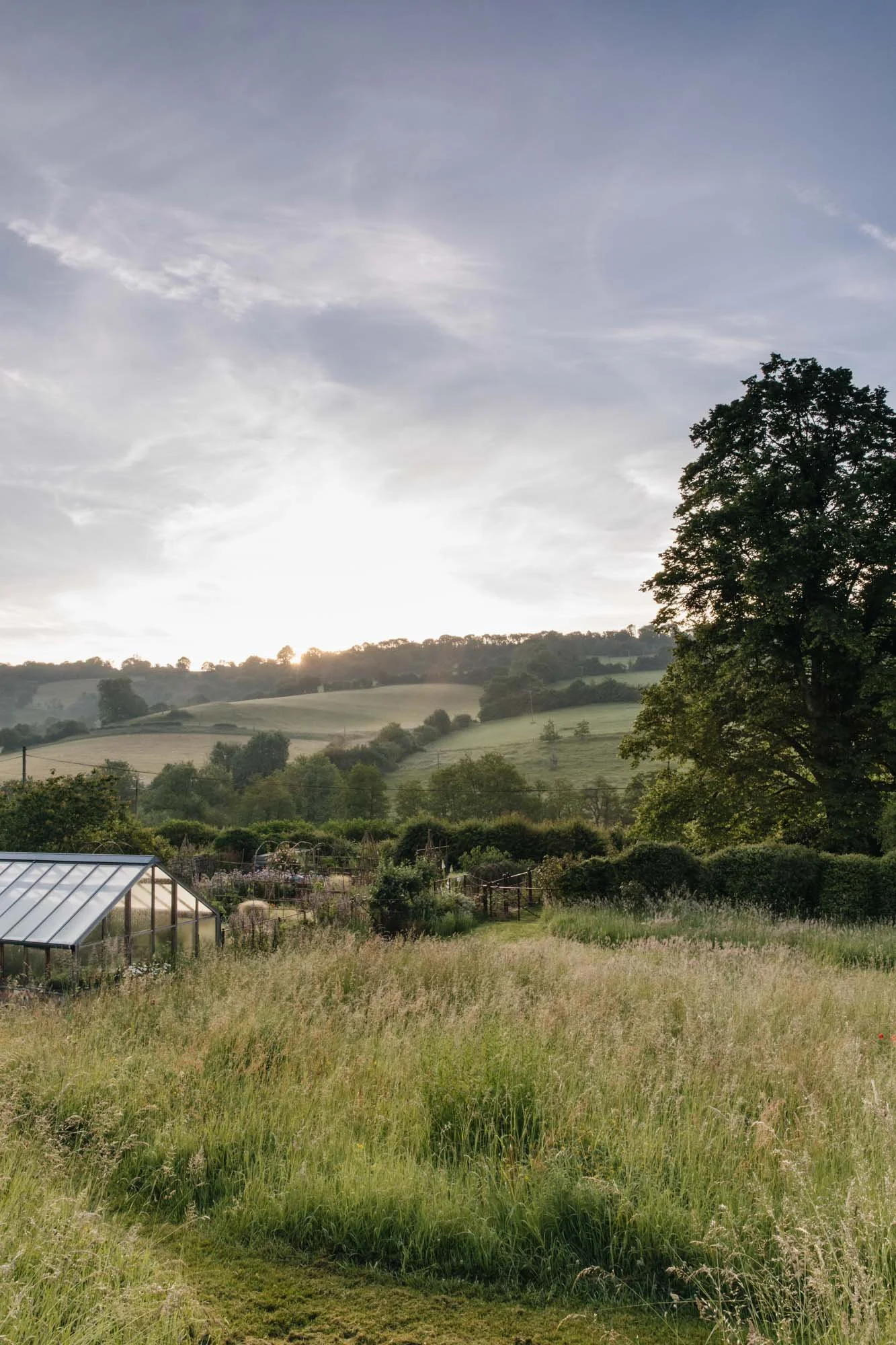 Sunrise over a rural landscape with green hills, trees, a greenhouse, and a garden.