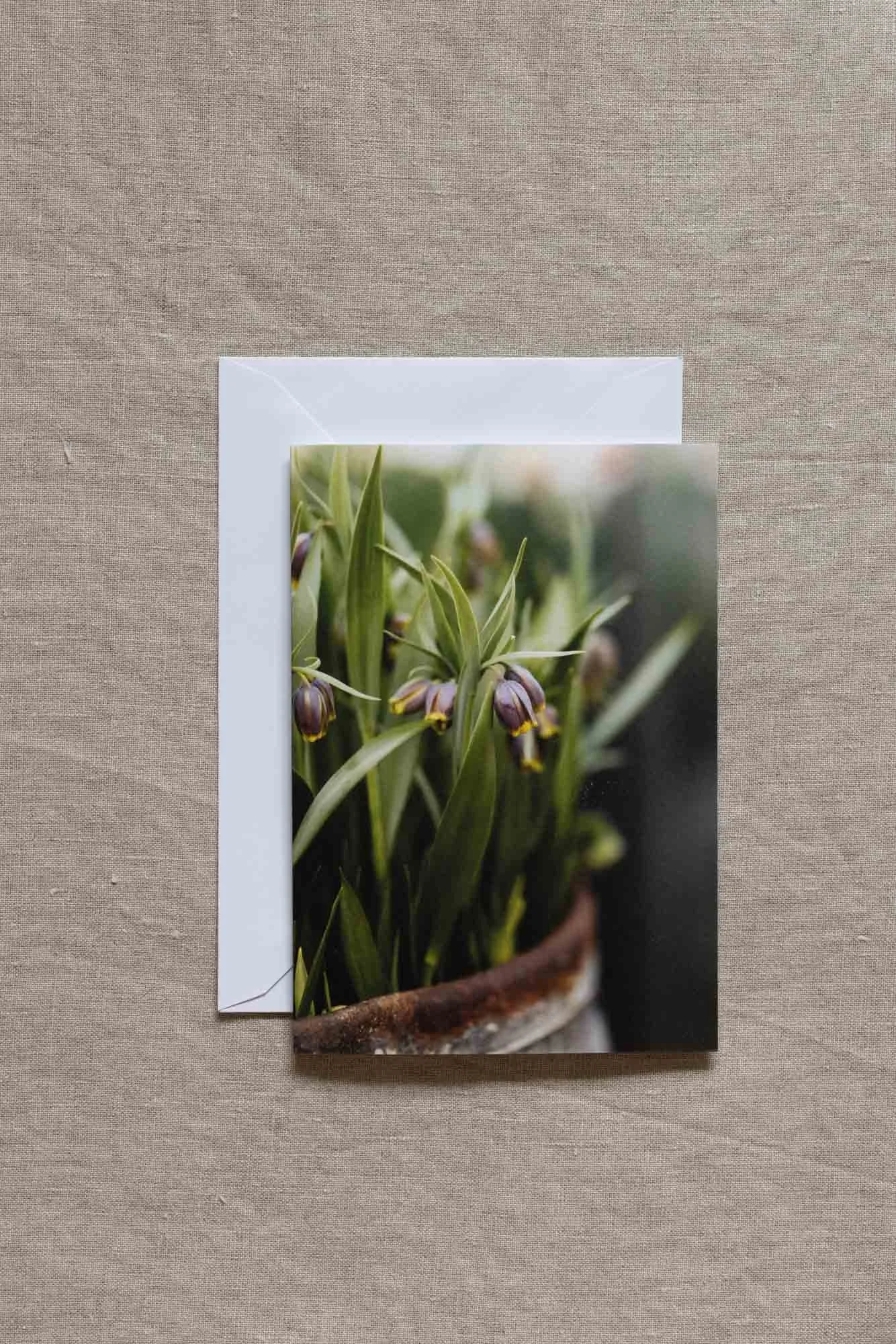 fritillaria-greeting-cards.jpg