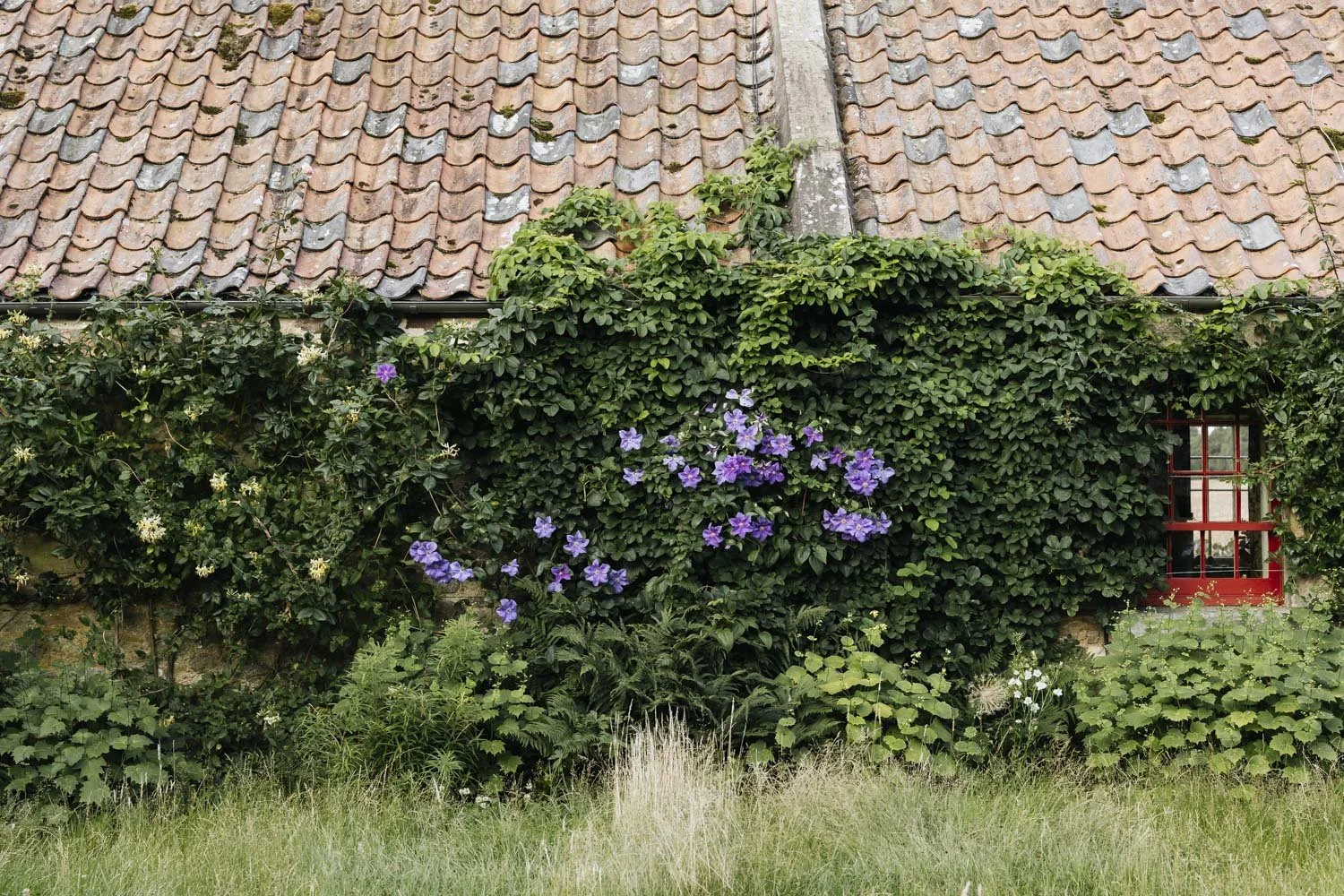 357A9924.jpg