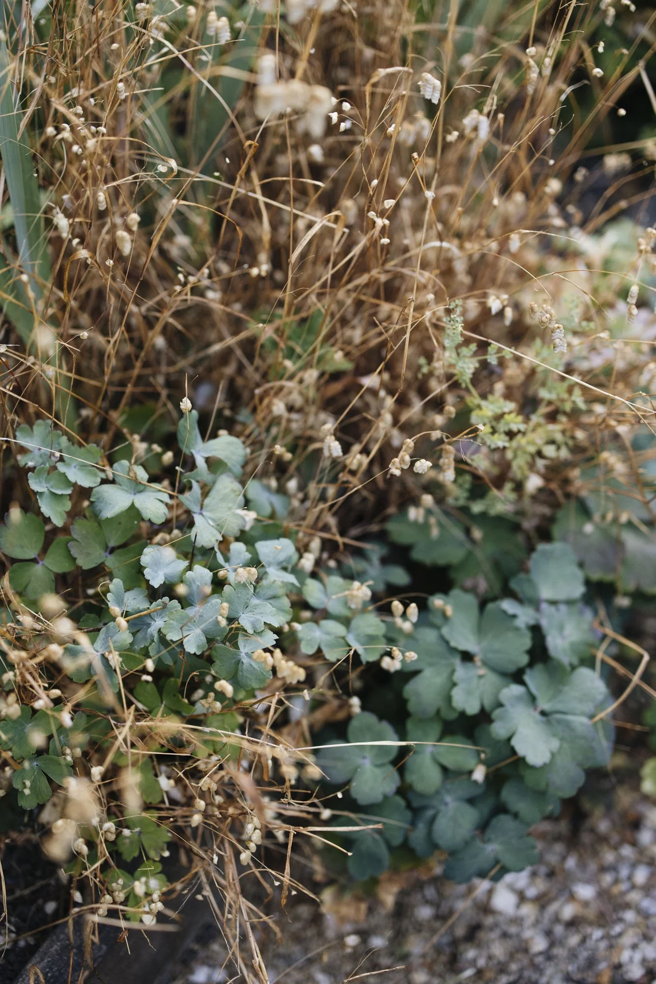 357A7254.jpg