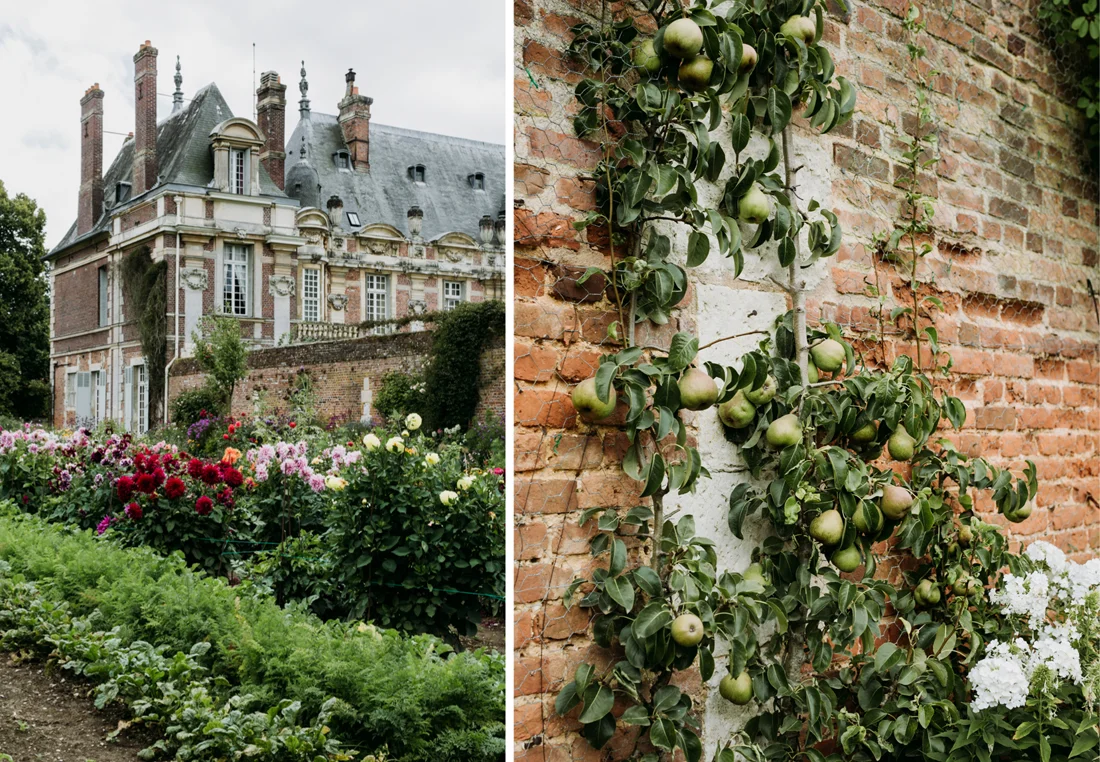 Miromesnil_eva-nemeth_jardin10.jpg