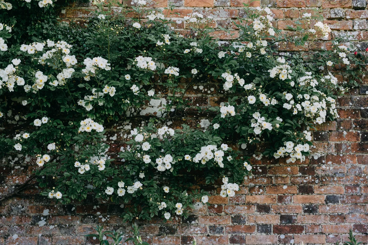 Rousham-Oxfordshire-garden_008.jpg