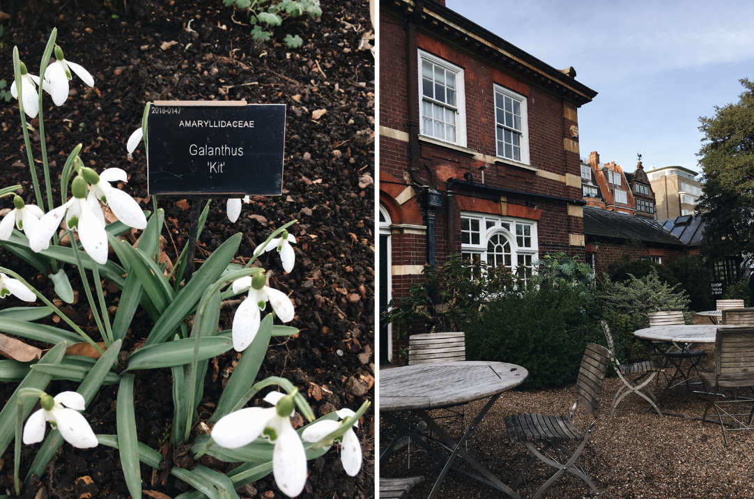 Chelsea-phsysic-garden-eva-nemeth_35.png