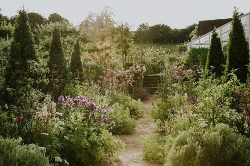 eva-nemeth-somerset.jpg