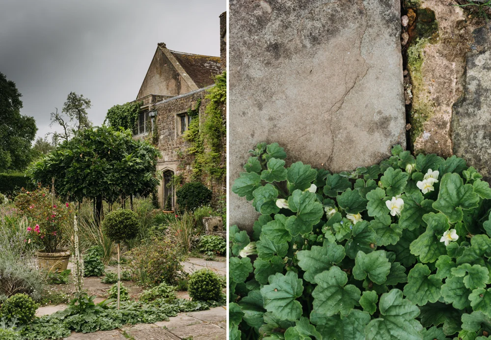Cothay_Manor_02.jpg