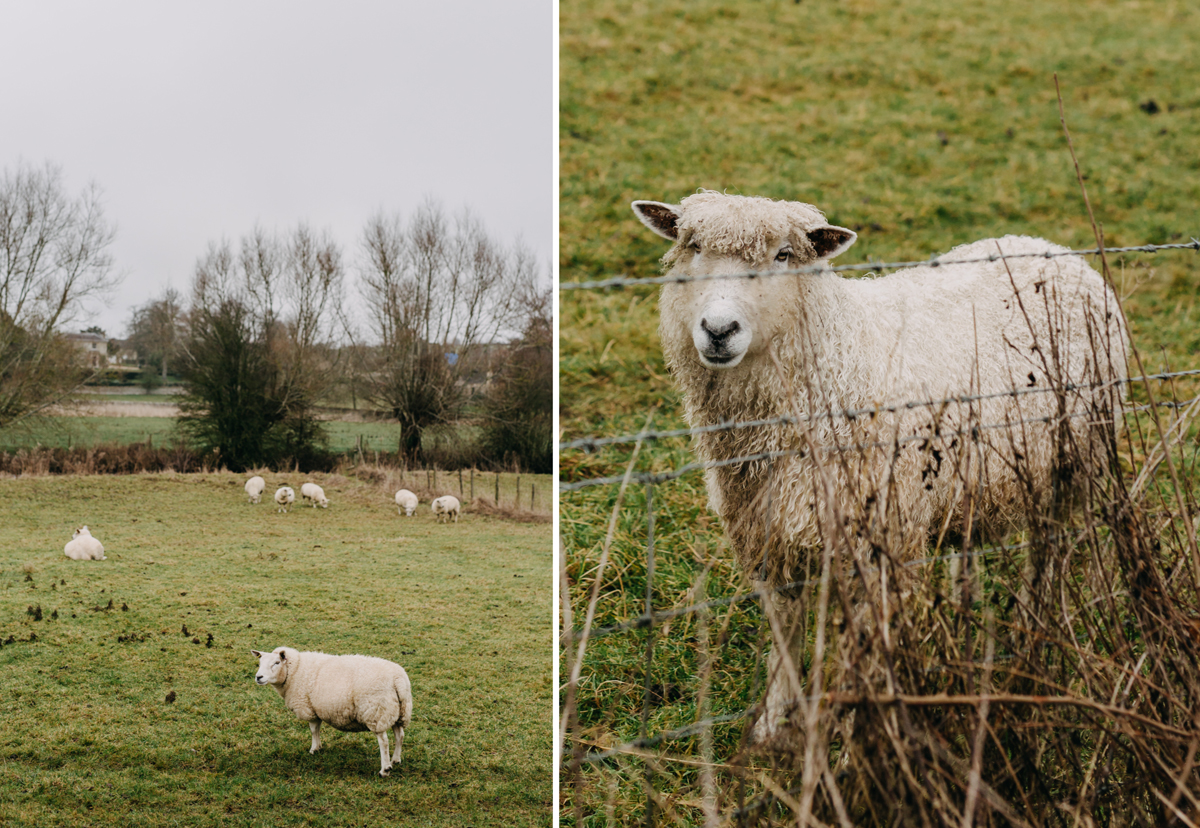 cotswolds-swinbrook-windrush-walk_15.jpg