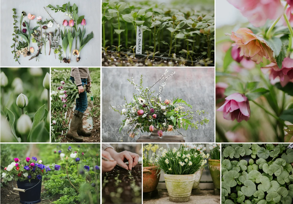 Spring at Green and Gorgeous Flower Farm - Commissioned by House&Garden Magazine