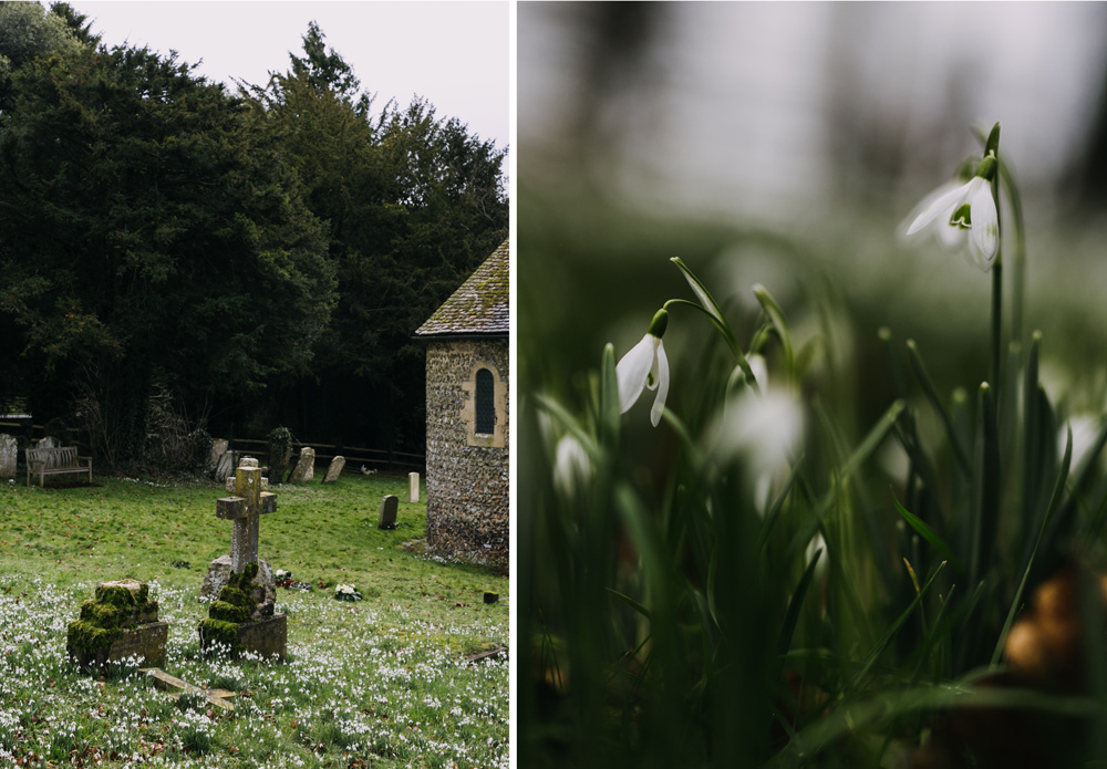 swyncombe-snowdrops-churchyard-oxfordshire-evanemeth_13.jpg