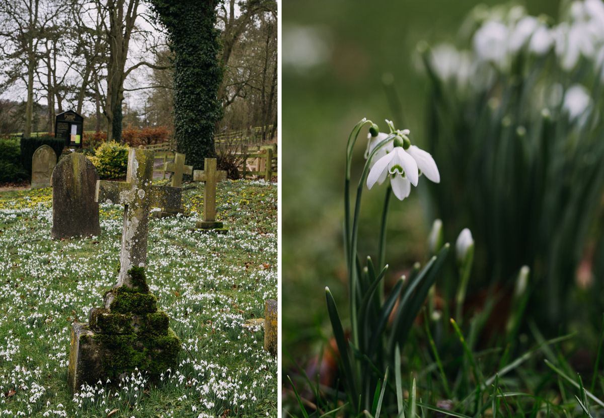 swyncombe-snowdrops-churchyard-oxfordshire-evanemeth_12.jpg