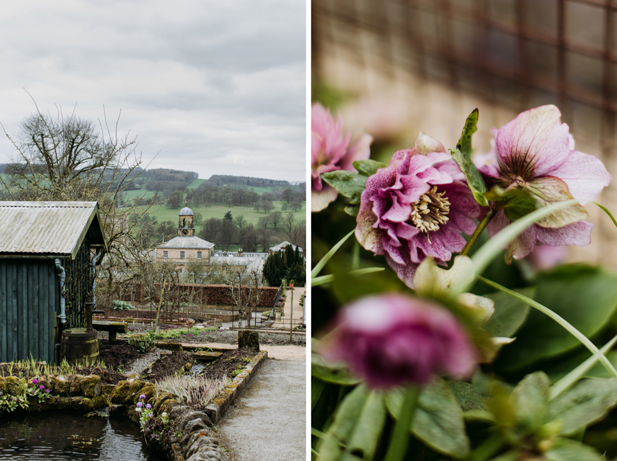 Chatsworth-flower-kitchen-garden_11.jpg