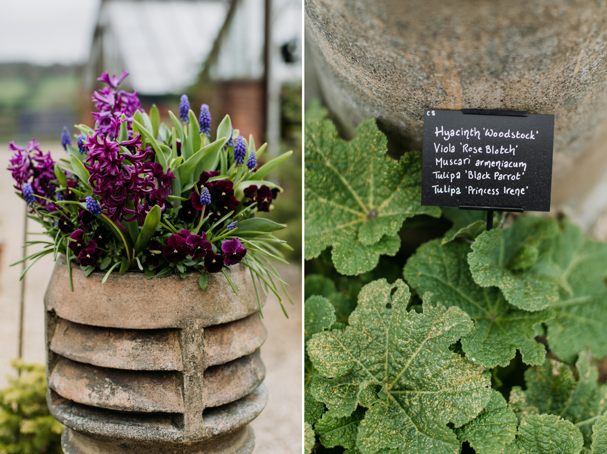 Chatsworth-flower-kitchen-garden_13.jpg