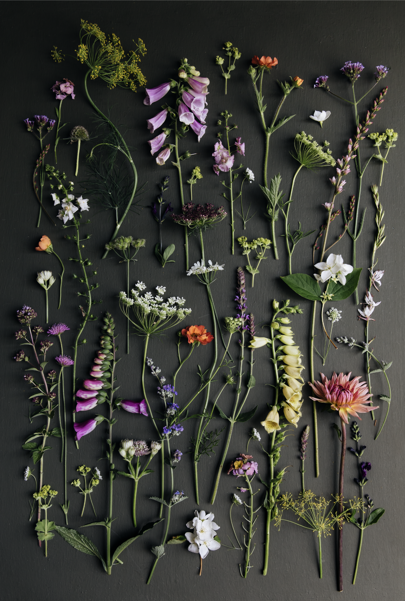 Summer Flowers - Print