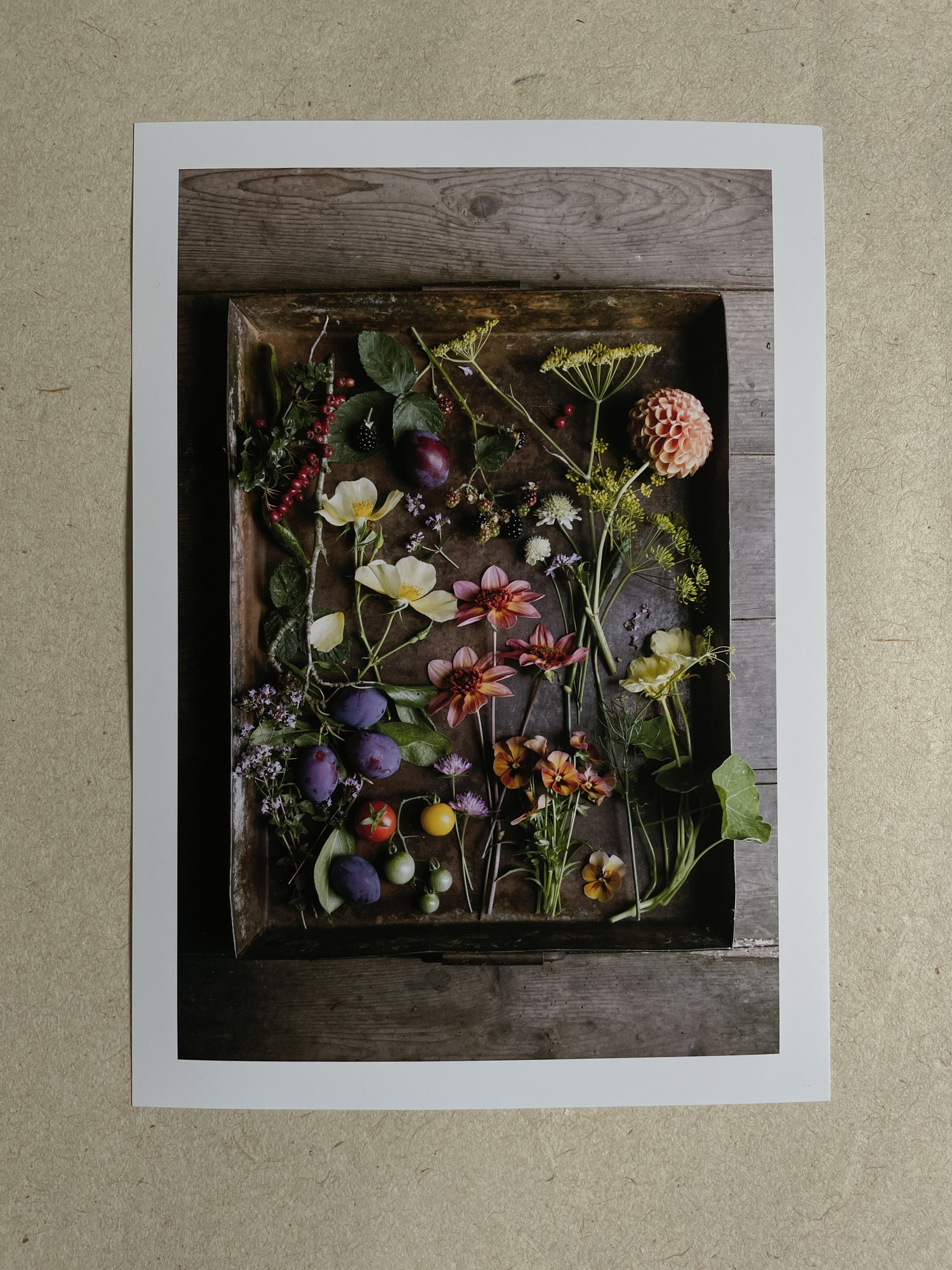 Autumn botanical fine art photography print