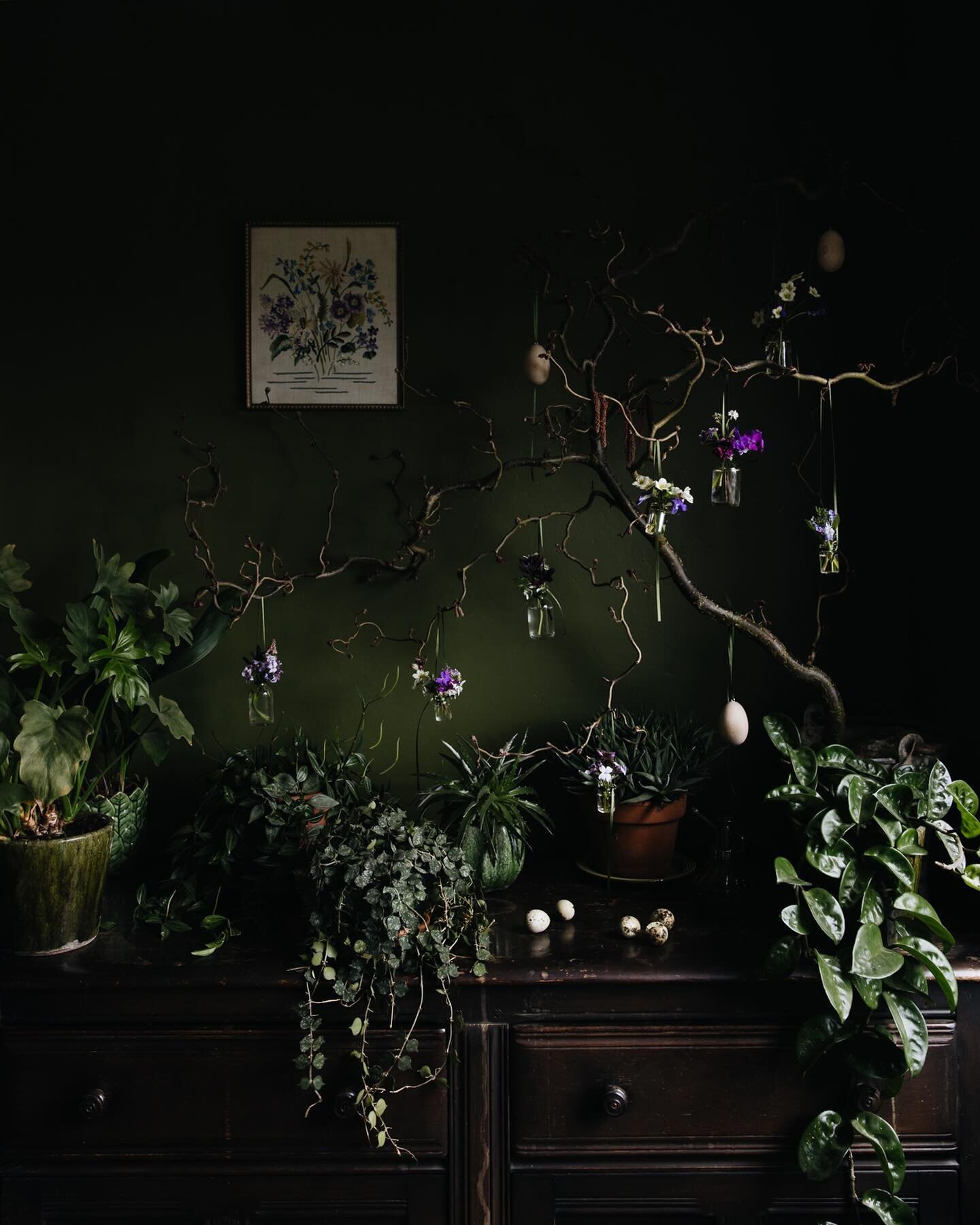 Easter scene captured at @4jacquelinemills &lsquo; house a year ago on a shoot for Gardens Illustrated. I loved this moody corner in Jacky and Ian&rsquo;s house. And especially loved the floral embroidery on the wall made by Jacky&rsquo;s mum. Gale f