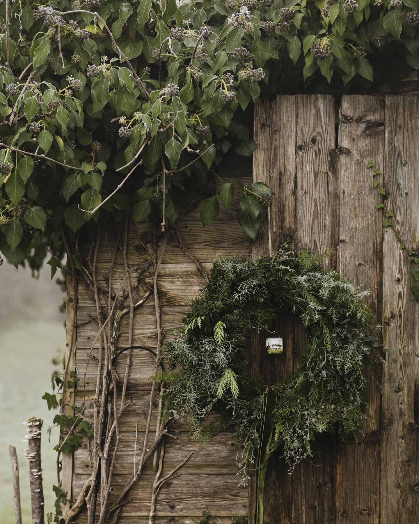I made this wreath in November, just before that one frosty morning we had, I left it on the shed door then but since then it moved to our front door. Rustic green, let's just call it that. The pretty little bell was a birthday present from @simplyby