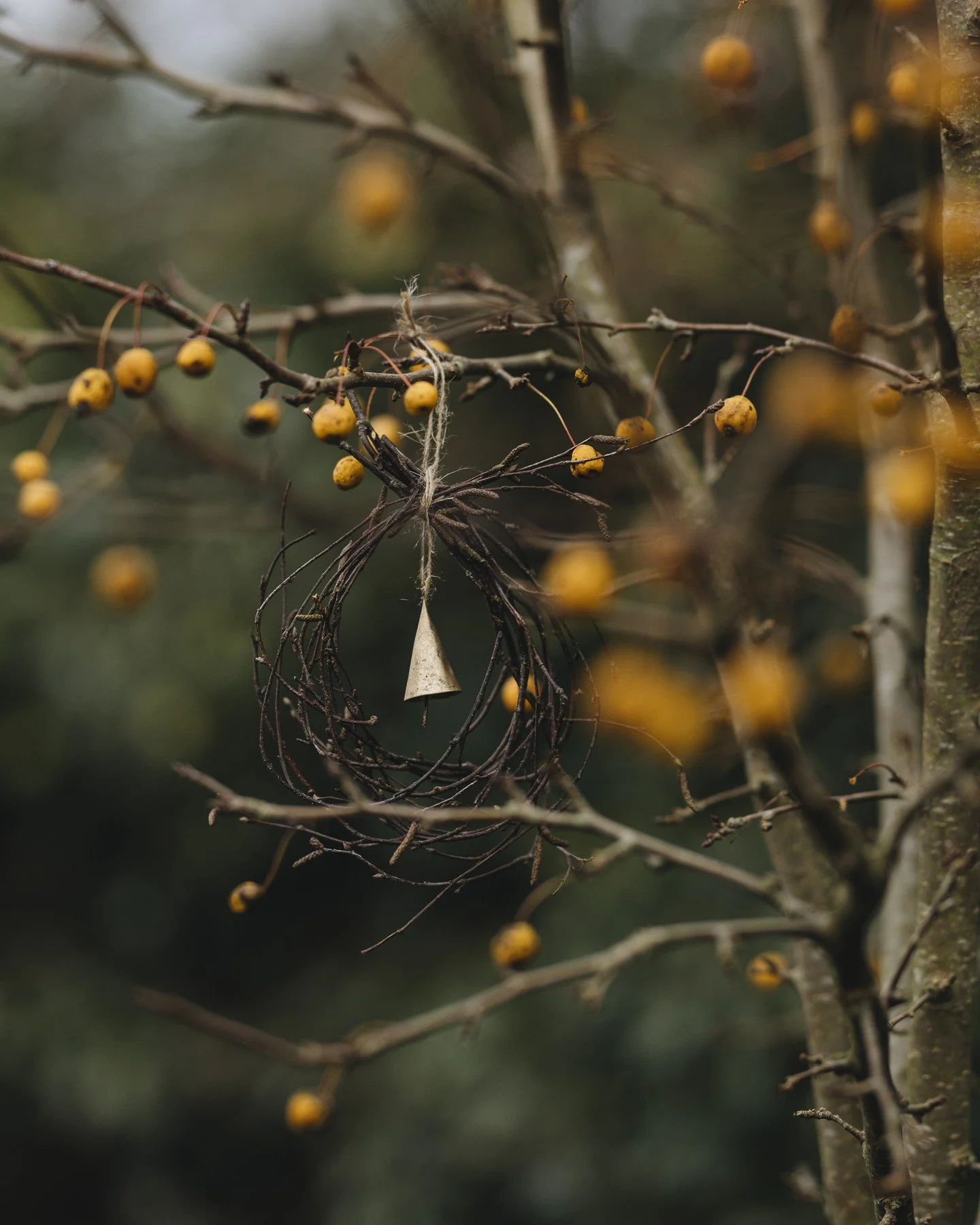 Orange baubles and a little wreath. For the blackbirds.