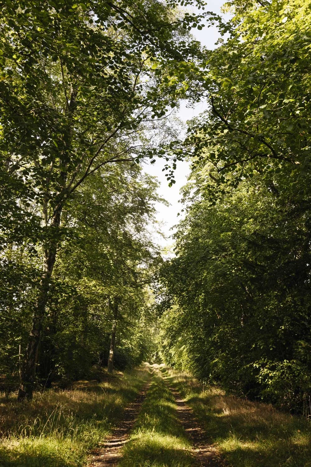 357A0084.jpg