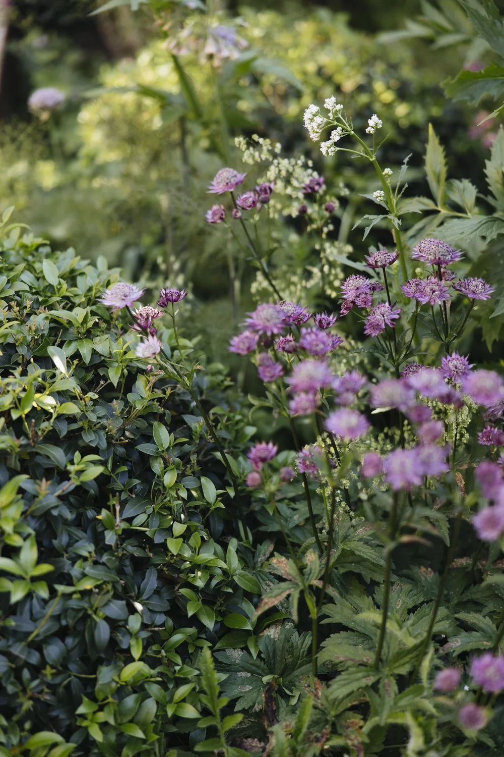 357A8032.jpg