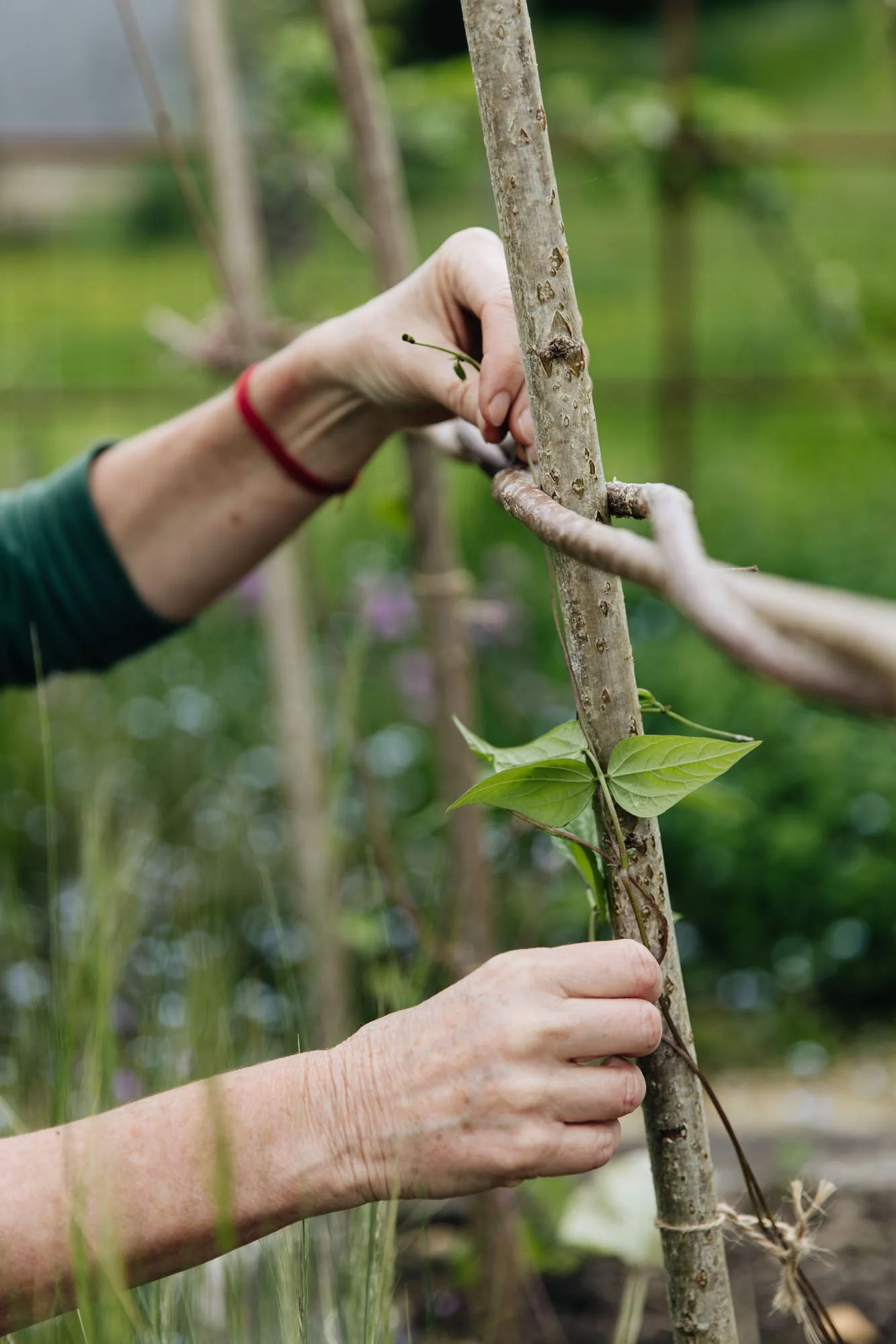 Alison Jenkins making garden structures at Damson Farm