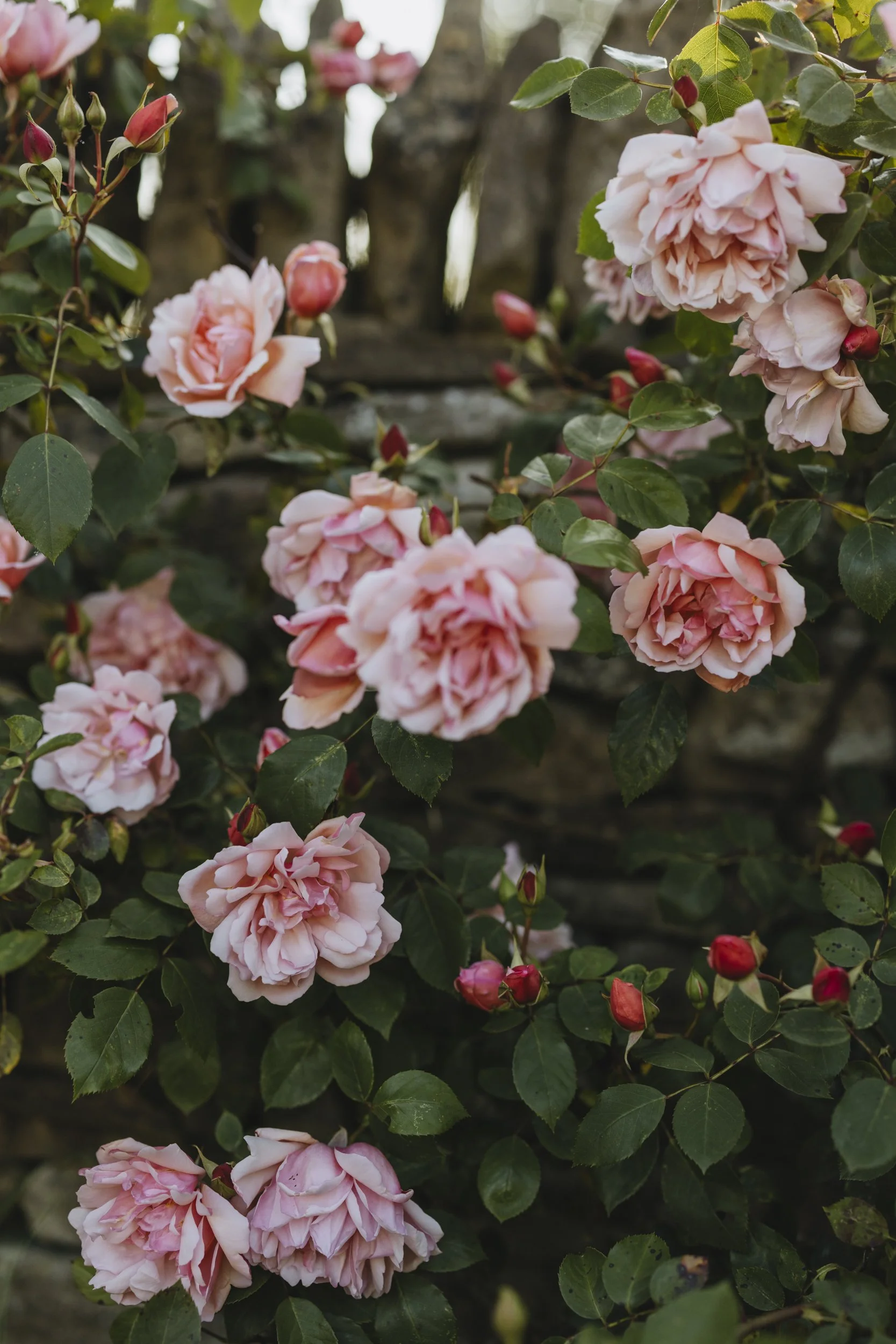 One-to-one photography workshops with Eva Nemeth