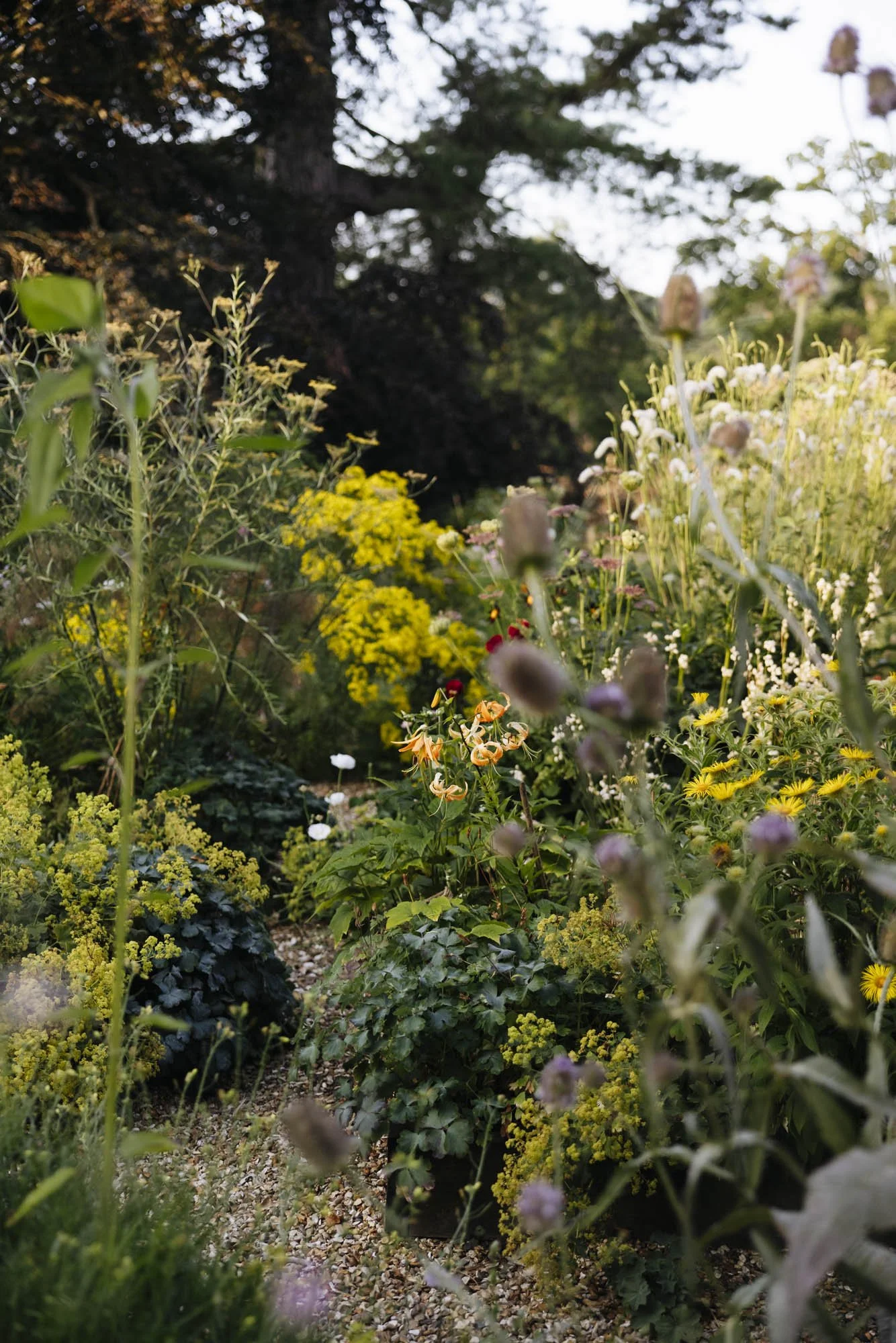 357A7305.jpg