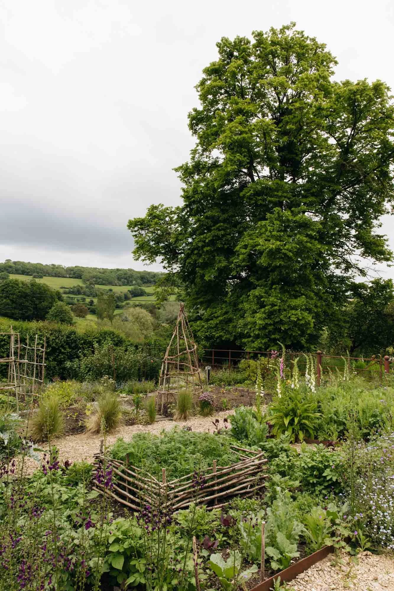 The lush garden of Damson Farm with a large green tree in the background, vegetable plots, and rustic wooden structures on a cloudy day.