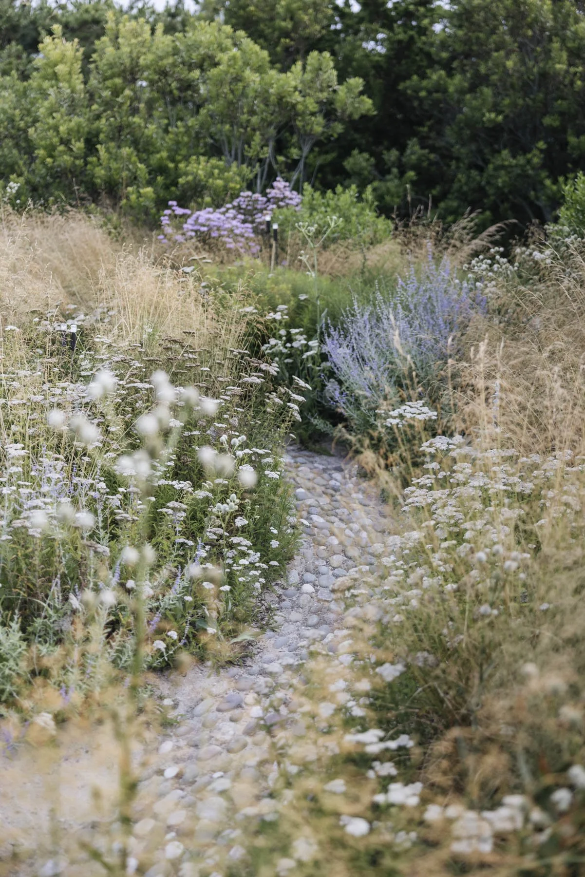 357A8120.jpg